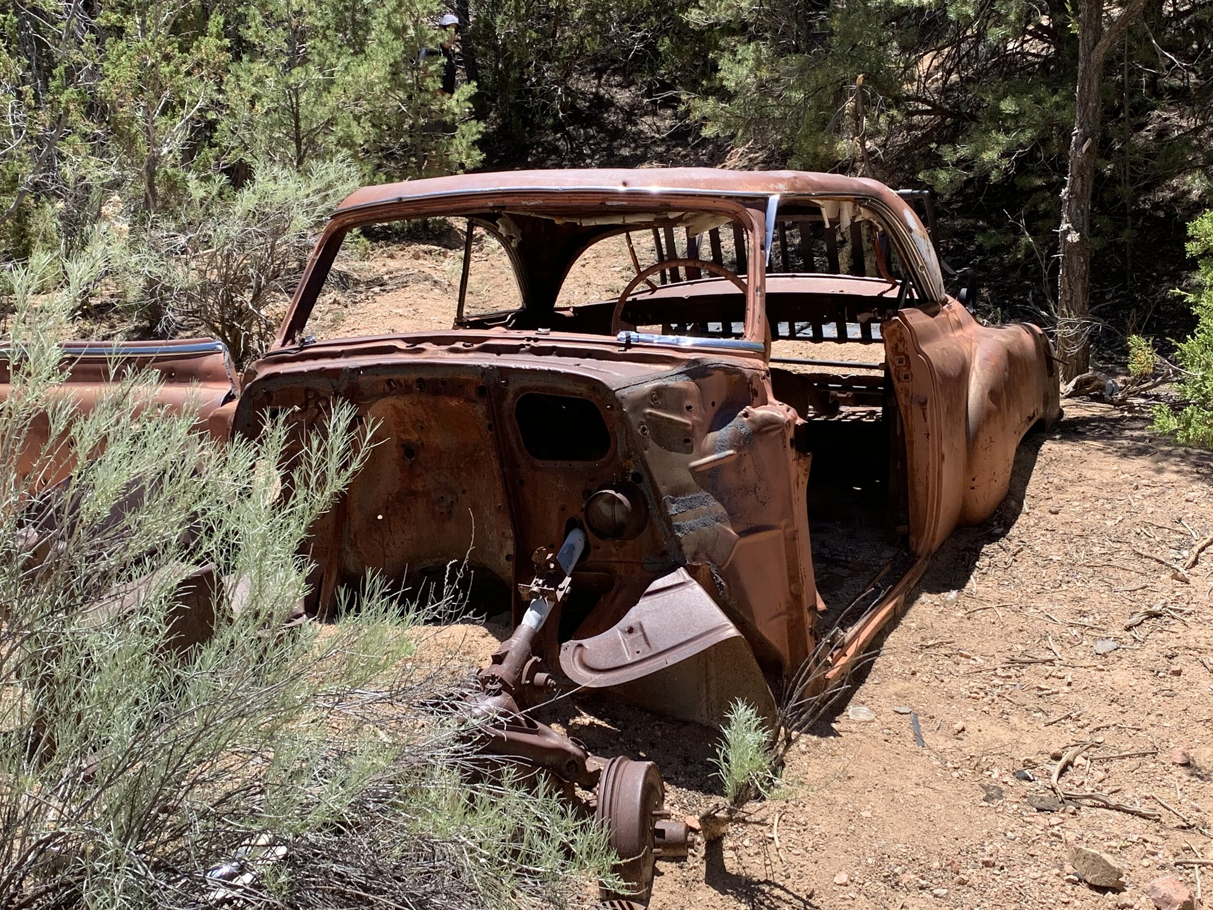  On one hike in Santa Fe, we came upon this car out in a remote area, half-buried in the sand, It made us wonder if it had fallen off a cliff at some point years ago. 😲 