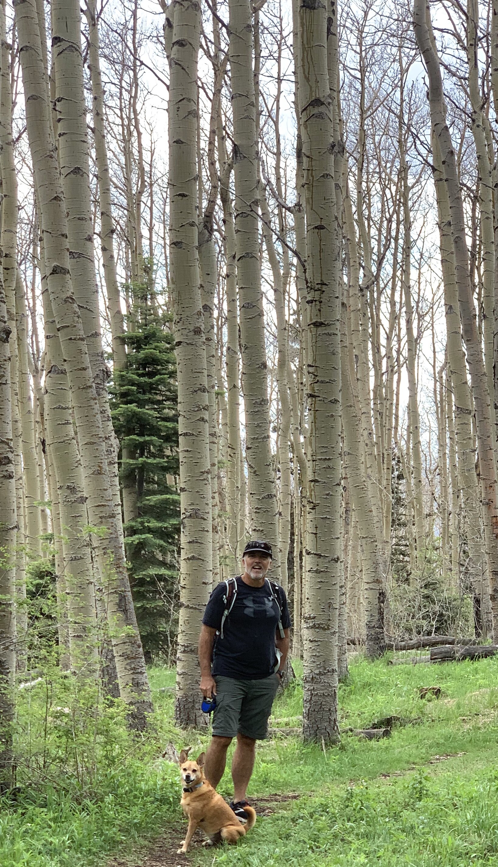  In Santa Fe National Forest, we enjoyed serene walks in beautiful nature. On this day, it rained a few times and we ran for cover from large hail that fell on us several times during this hike. 