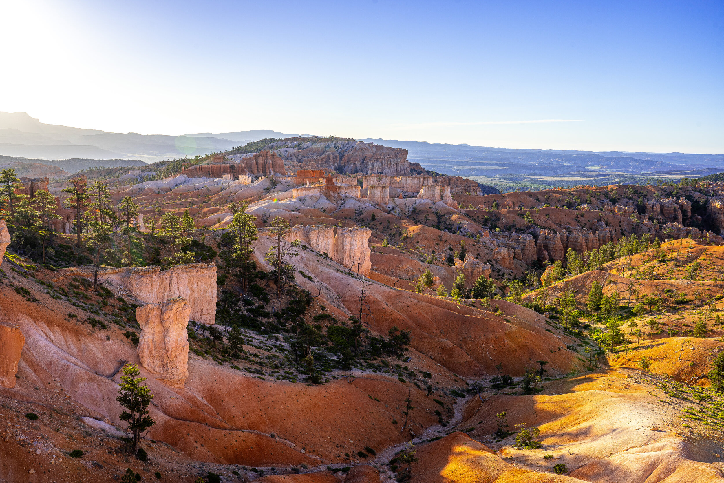  The Bryce Canyon area was settled by Mormon pioneers in the  1850s  and was named after Ebenezer Bryce, who homesteaded in the area. Bryce Canyon was designated a national park by Congress in 1928. Craig took this beautiful picture of the Canyon.  