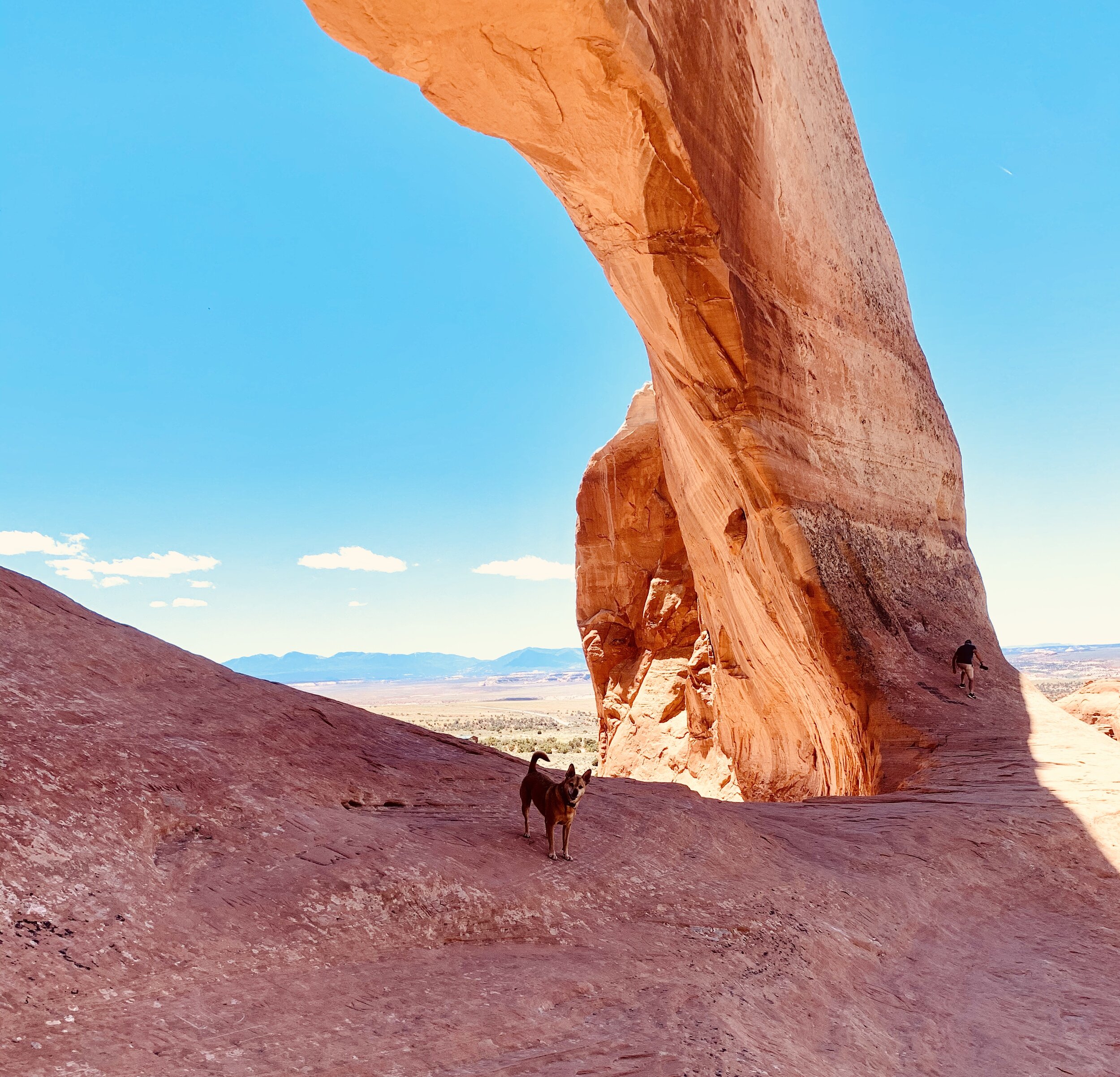  We spotted this large arch on the side of the road in La Sal, UT. We hopped out and climbed it for a little exercise on our journey. The pictures hardly give justice to how large this arch is. 