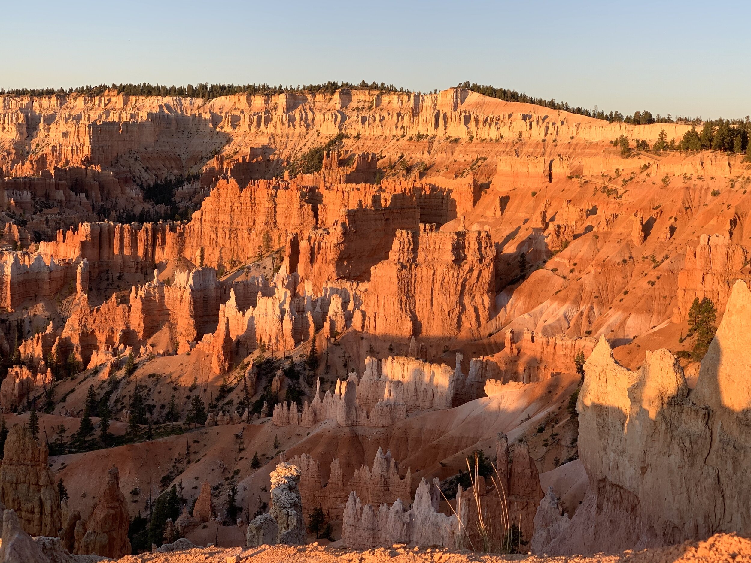  The hoodoos are believed to be 60 million years old,    