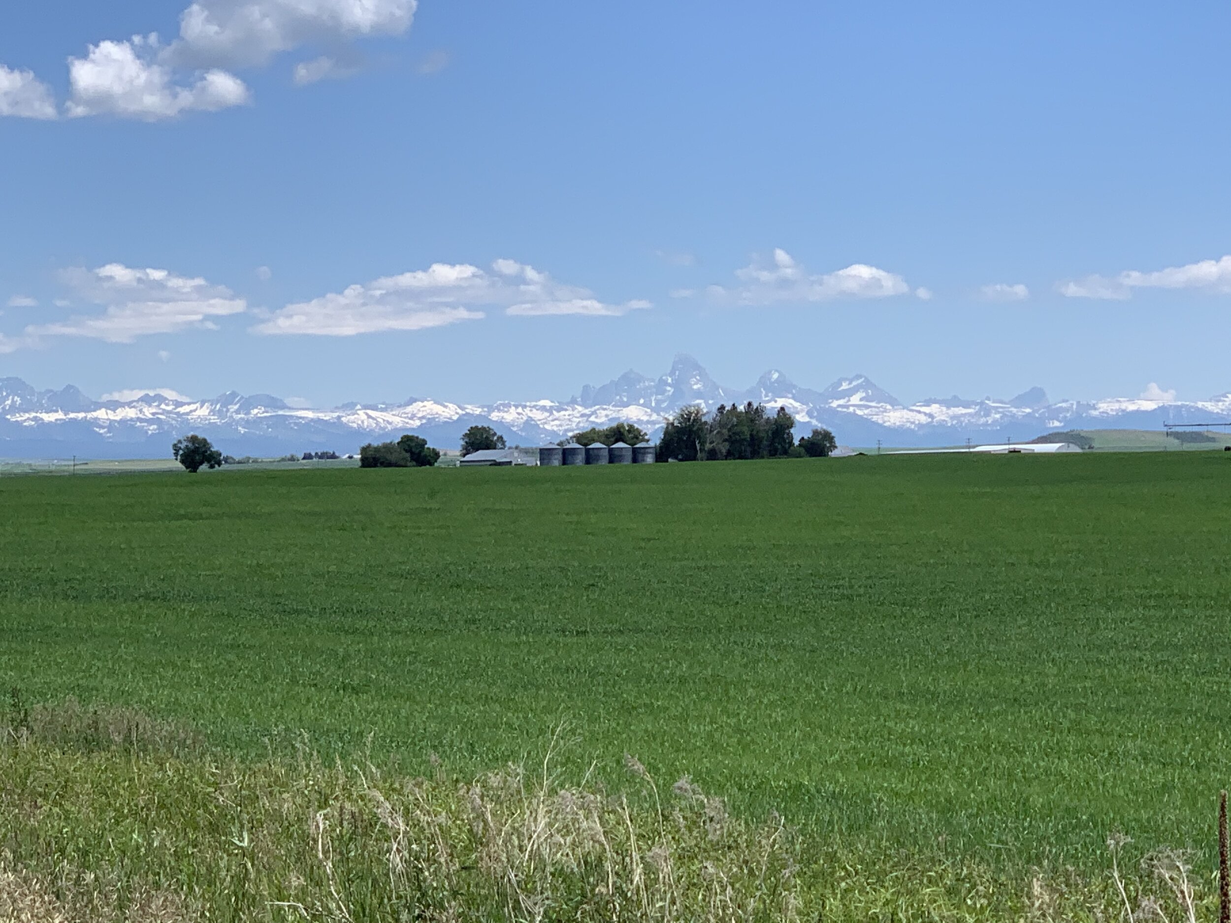  We’ve stayed at some really beautiful campsites. In the small town of Ashton, ID, our campsite backed up against a lovely private farm. We also just happened to have a view of the Grand Tetons about 40 miles away. 