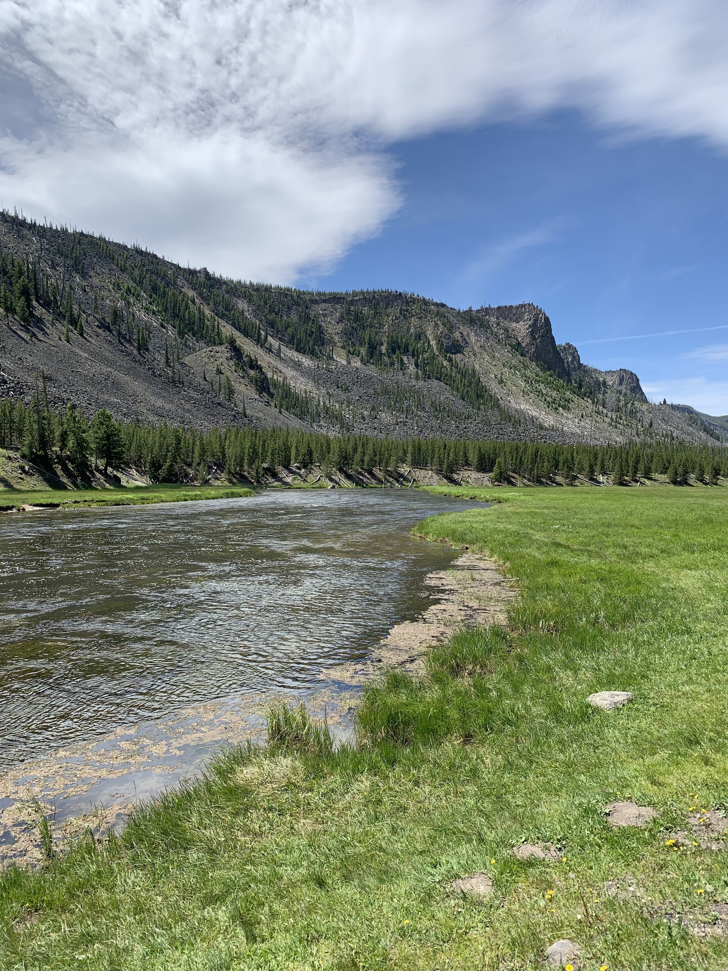  We stopped immediately upon arrival into Yellowstone National Park and took a picture of this peaceful stream. It felt like we should see  bear, elk or moose or  something  enjoying a cool drink or fishing for salmon. A primary objective of the day 