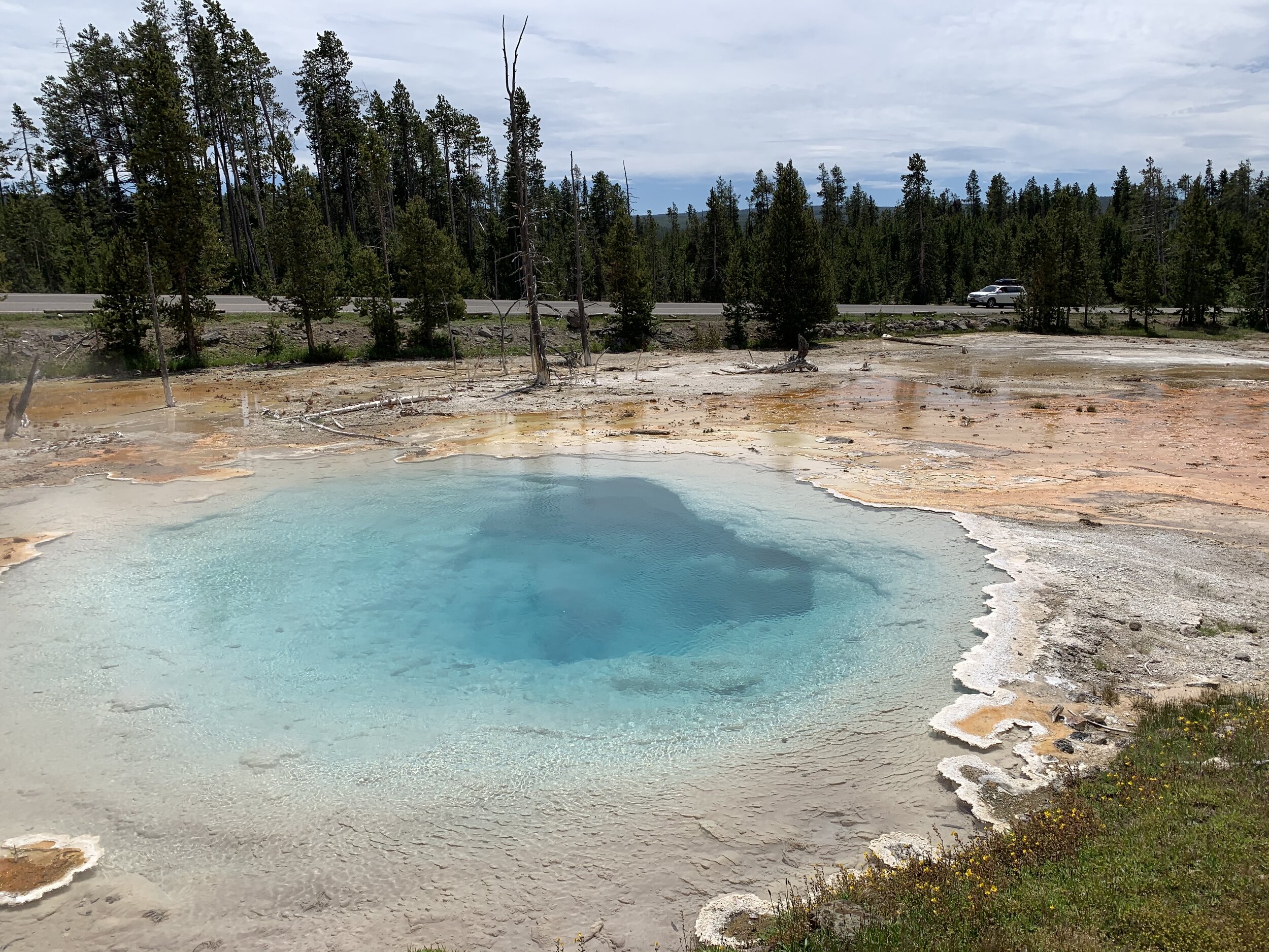  The colorful hot springs and pools of Yellowstone NP are always interesting. 