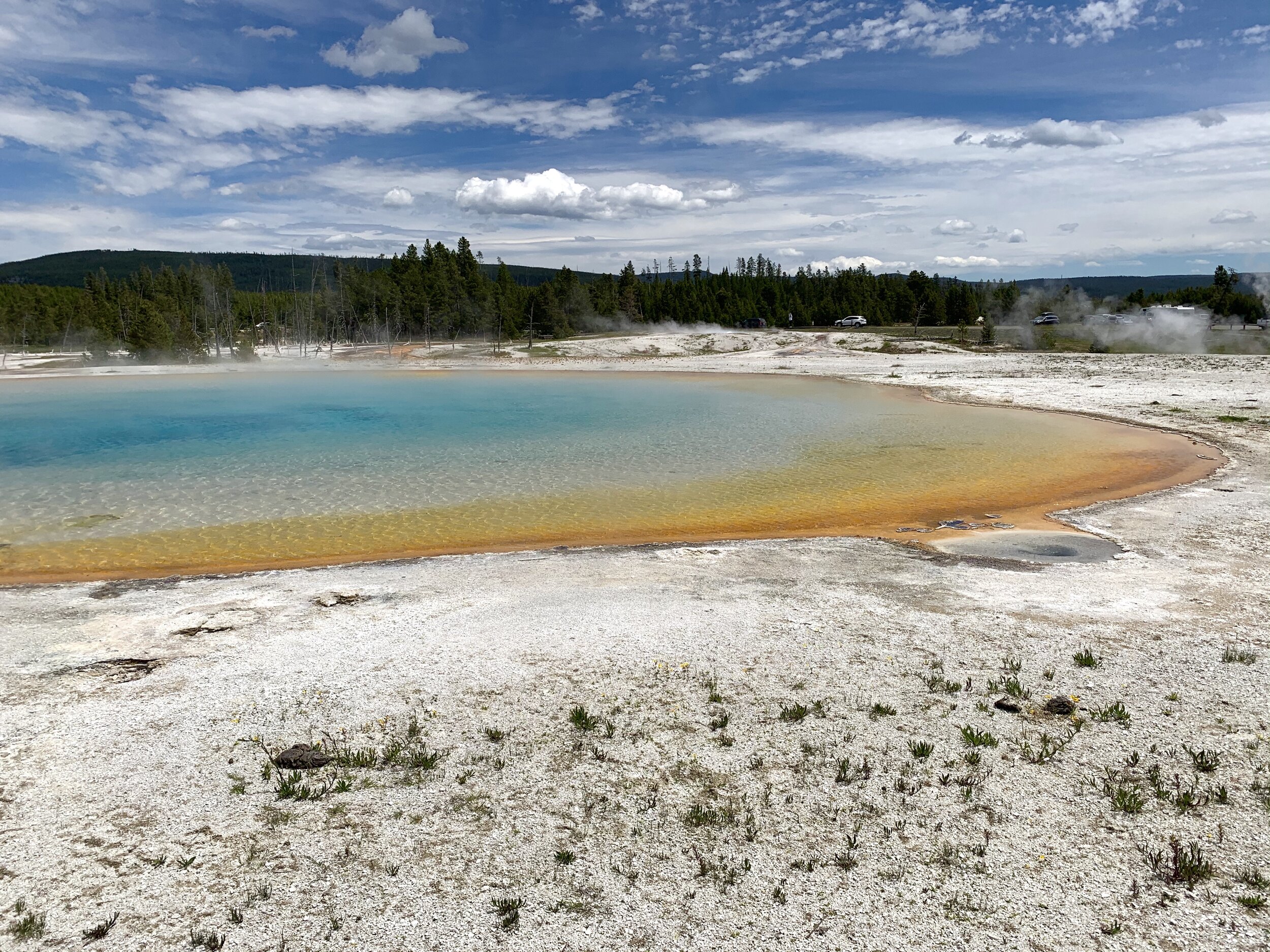  One last picture of the hot springs of Yellowstone.  
