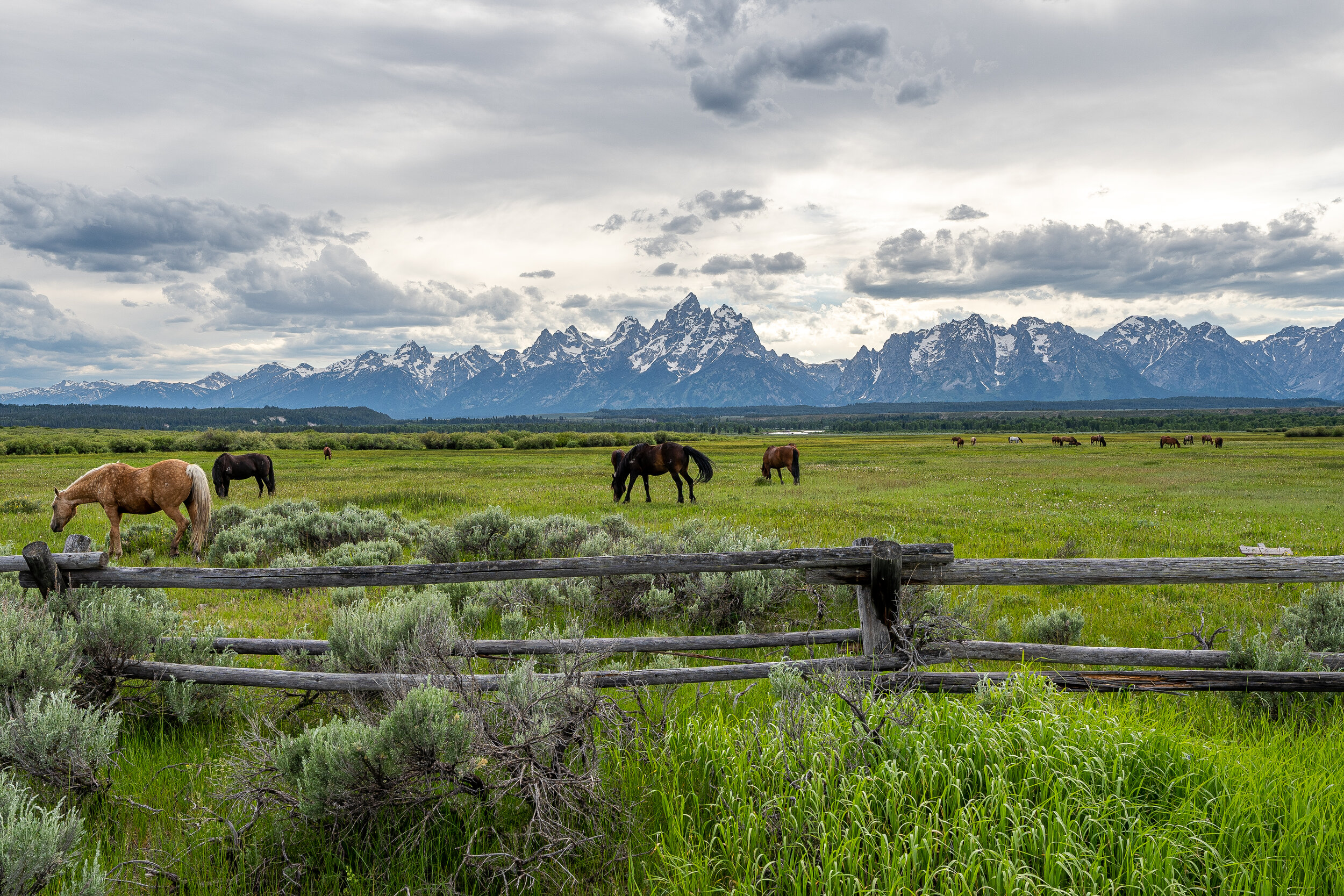  Grand Teton National Park covers about 480 square miles and is made up of the Teton Range (pictured here) and most of the northern sections of the surrounding valley known as Jackson Hole. This mountain range was named by French trappers who first s