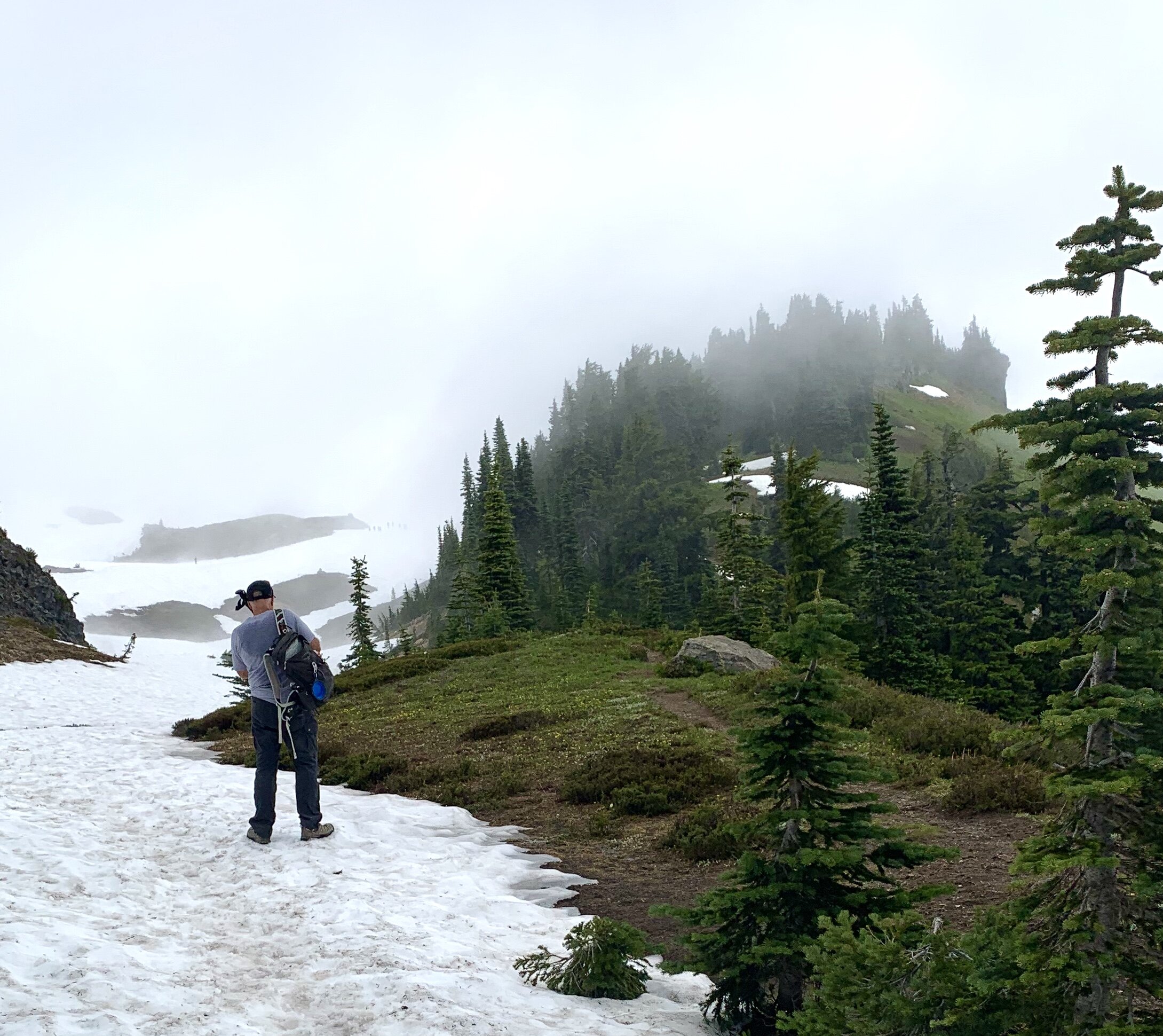  Washington is nicknamed the Emerald State because of it’s deep, lush greenery year-round.  We were entirely surrounded by dark green foliage as we began our 6-mile hike inside Mt. Rainier National Park, but our path quickly turned to this snowy scen