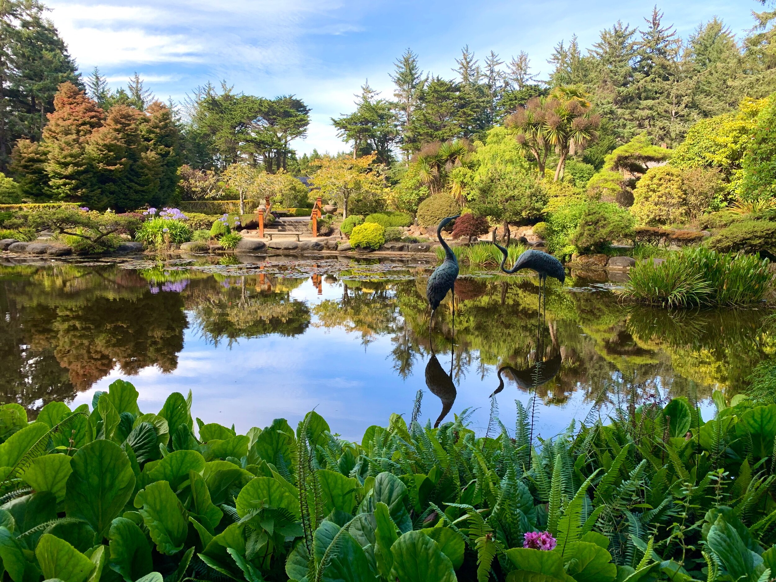  Shore Acres State Park also featured a dreamy botanical garden.  