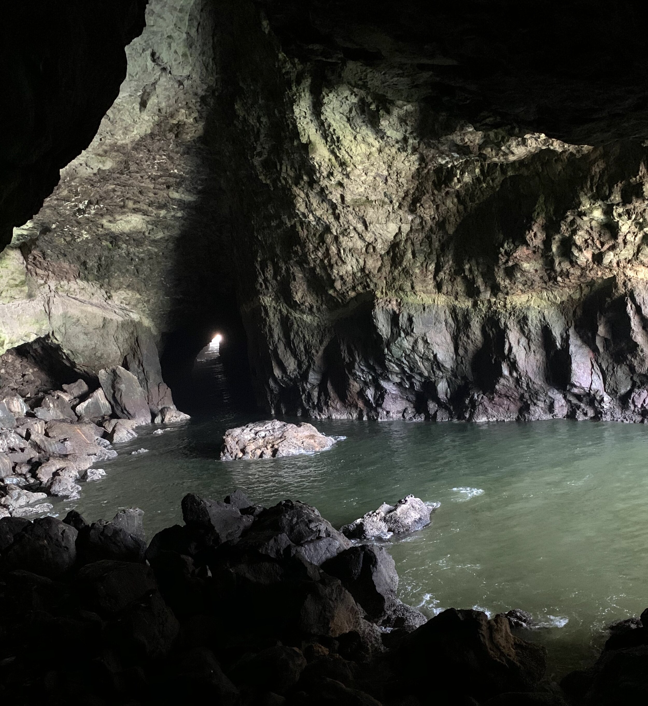 We drove over an hour to visit  Sea Lion Caves , “ America's largest sea cave and the year-round home of the Steller sea lion .” Discovered in 1880, the land was later sold to R.E. Clanton in 1927, who recognized a good tourist trap when he saw one.