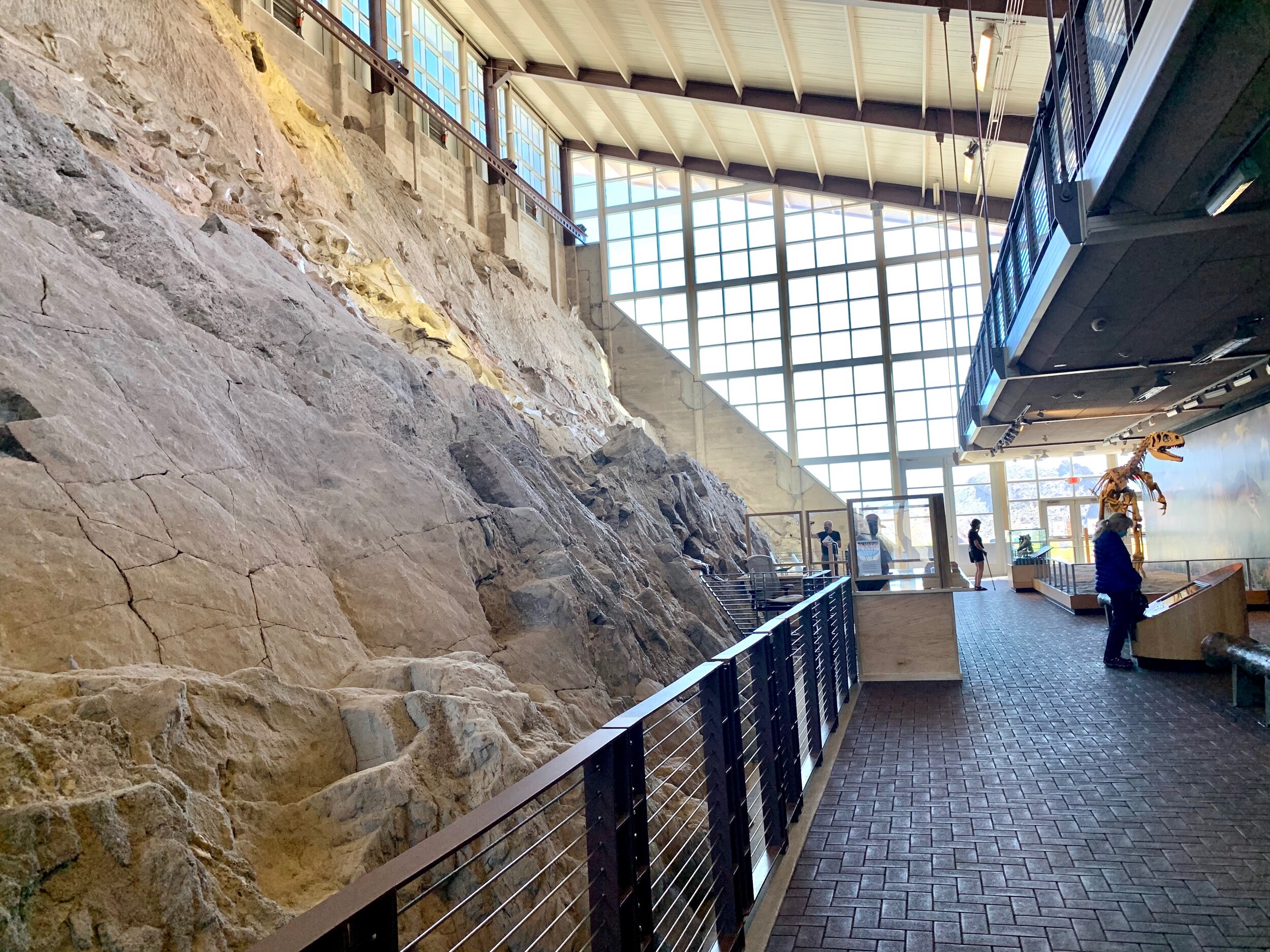  The  Quarry Exhibit Hall  in Dinosaur National Monument is a building made around dinosaur bones discovered, but never removed from the ground. The site is unusual because the bones are densely packed together and because this building was the dream