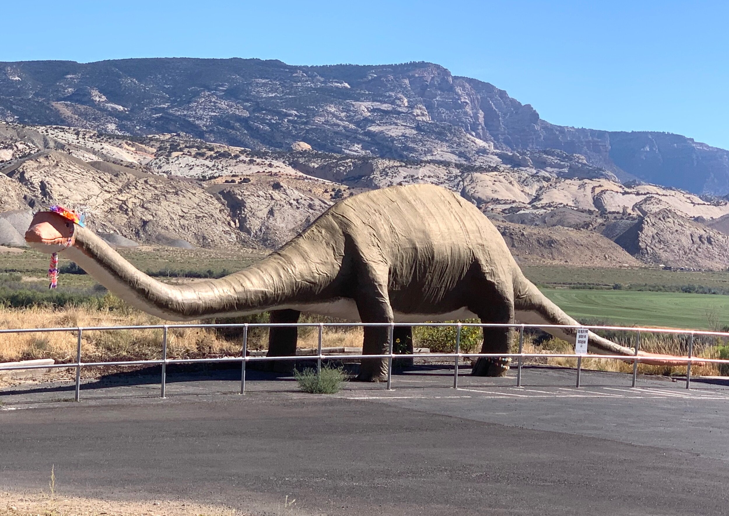   Dinosaur, Colorado,  is named for all the dinosaur fossils found in this area—and the town really embraces their name! 🐱‍🐉 
