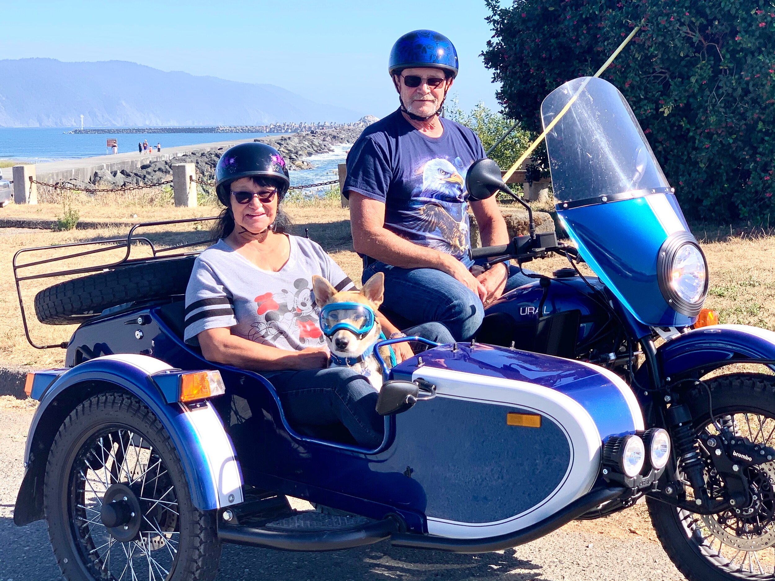  In Crescent City, California, we talked to this nice couple and their adorable, goggle-wearing dog. He did not enjoy the rides before goggles, but now with his new eyewear, he's good to go anytime! 