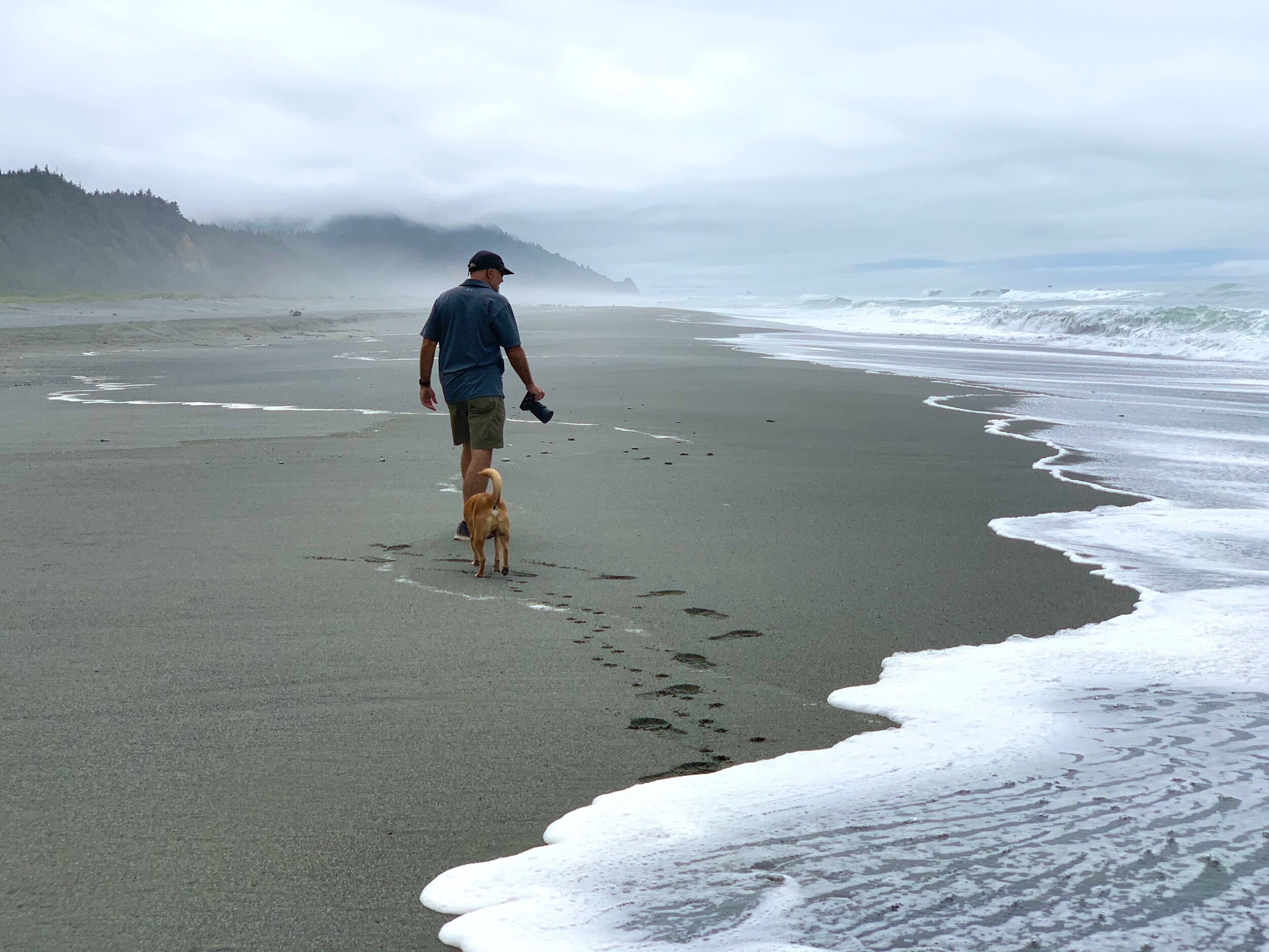  Less than a mile from Prairie Creek Park is  Gold Bluffs Beach.  Many people were in Fern Canyon, but to our amazement, not a single person on this beautiful beach.  