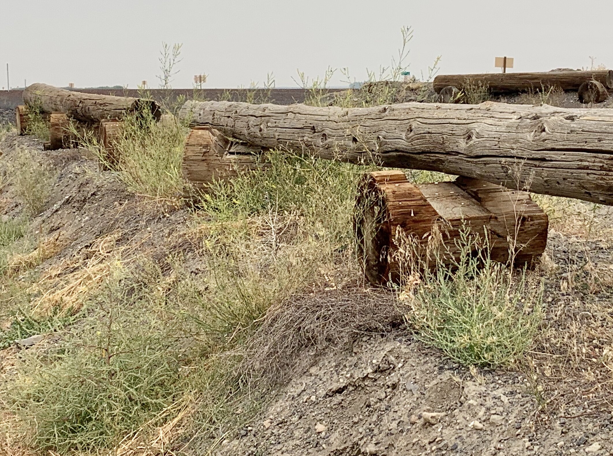  There’s not much to look at while out in the desert for hours. Perhaps that is the reason I was so impressed with these real-life Lincoln Logs alongside the road. 😄 