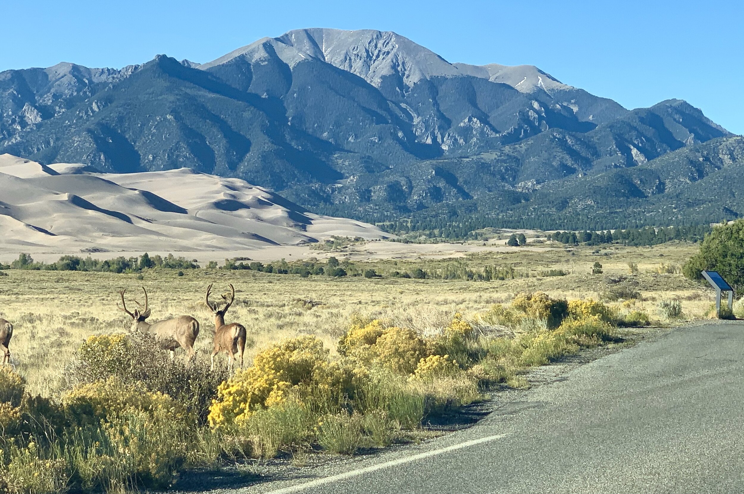  Over 30 square miles of sand dunes appear as a “sea of sand” at what is now  Great Sand Dunes National Park.  These unique dunes are created by the continuous work of water and wind moving sand, where there were once lakes. These dunes continue to g