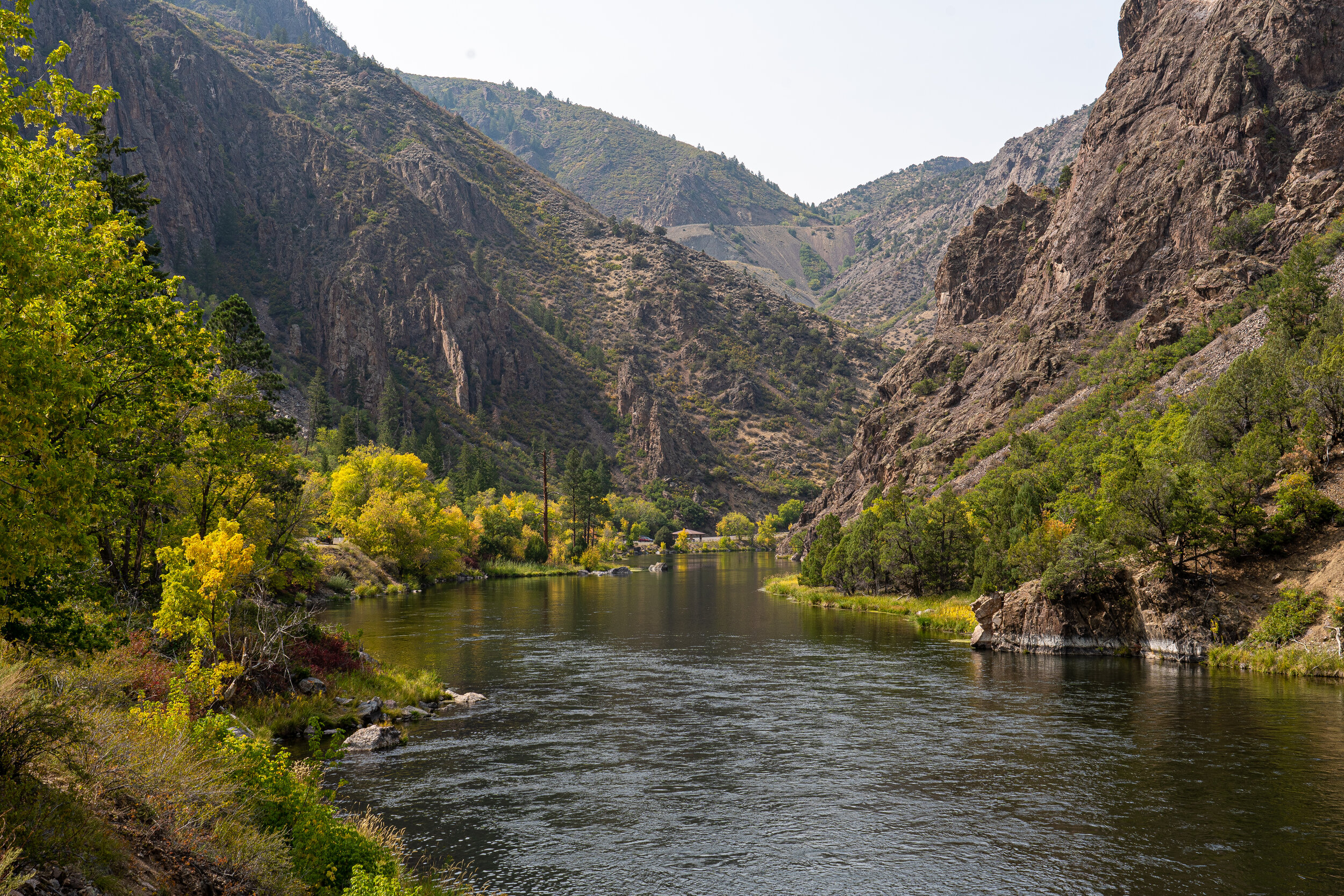  After spending most of the day at the top of Black Canyon, we took a lovely drive to the base of the canyon to see the Gunnison River up close.  