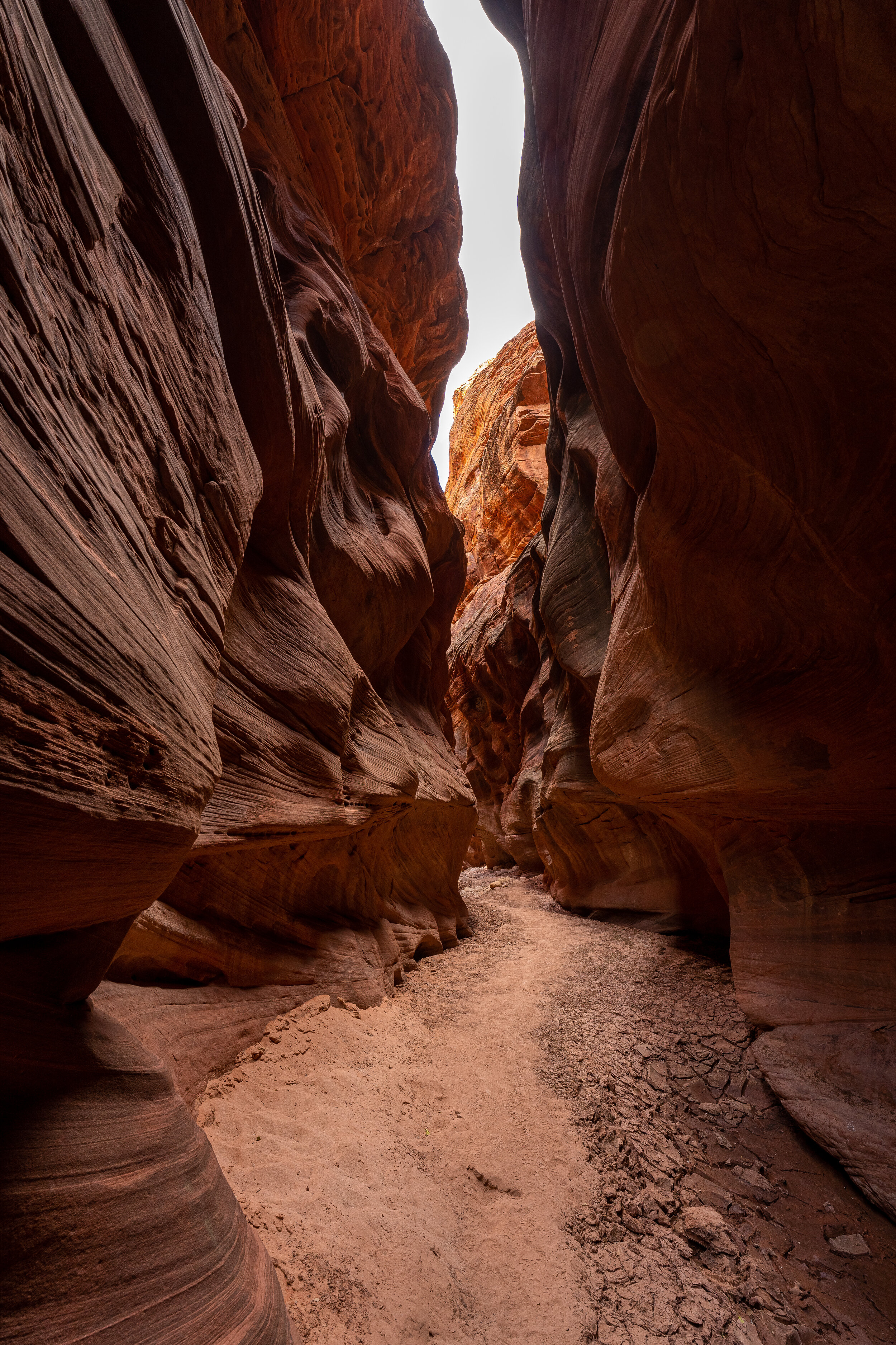  Craig photographed this slot canyon in Escalante National Monument on one of his hikes.  