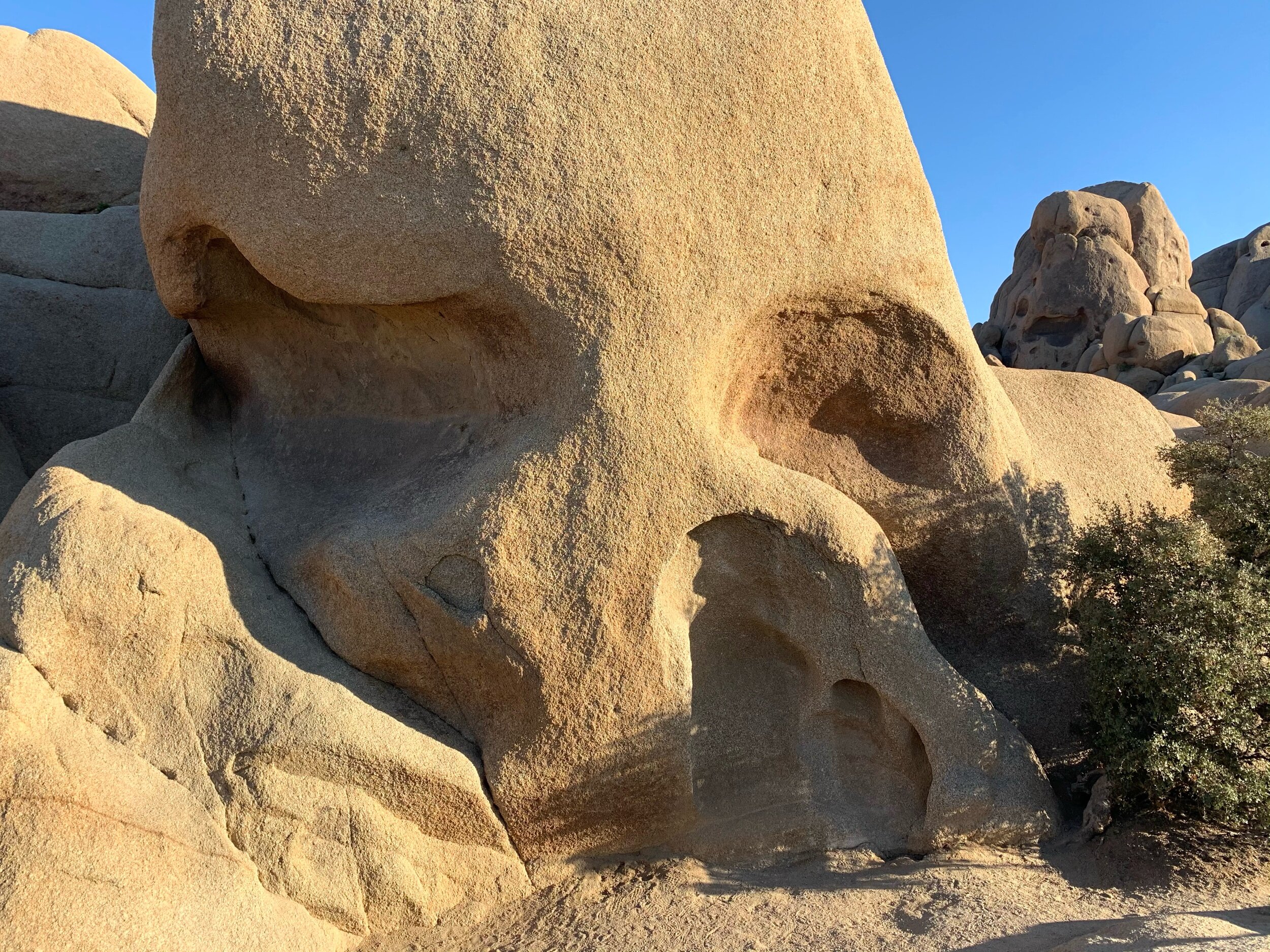   Skull Rock  is a popular attraction at Joshua Tree.  