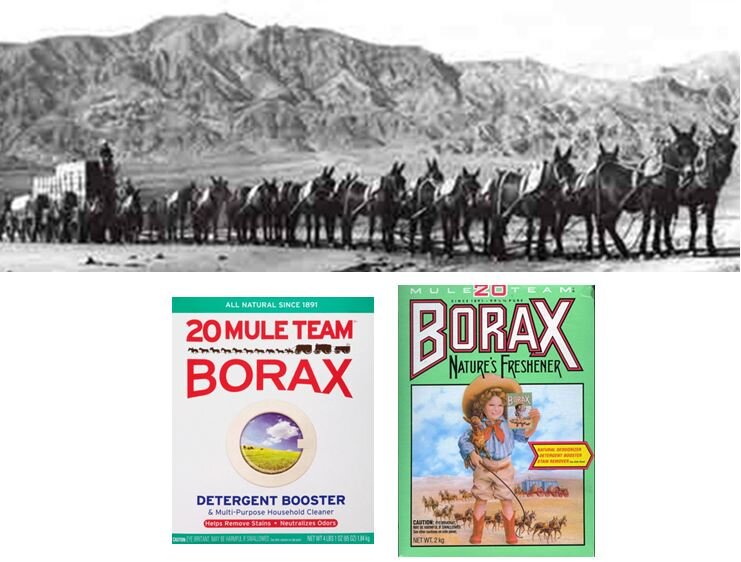  The brand name of Borax laundry detergent that we still see today,   20 Mule Team   ,   and the mules on the box refers to the revolutionary way the borax was taken from the mines in Death Valley. The 2-horse, 18-mule teams were famous for pulling t