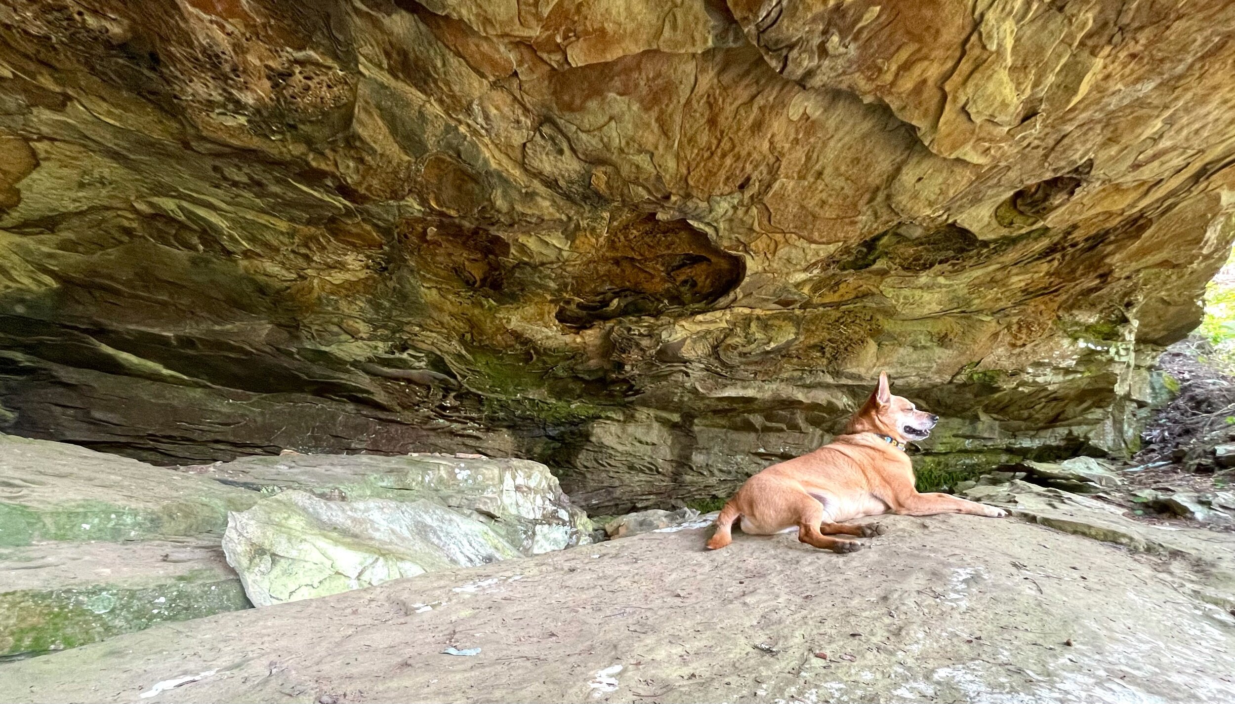  Taking a break under an overhanging rock at Cumberland Falls. 