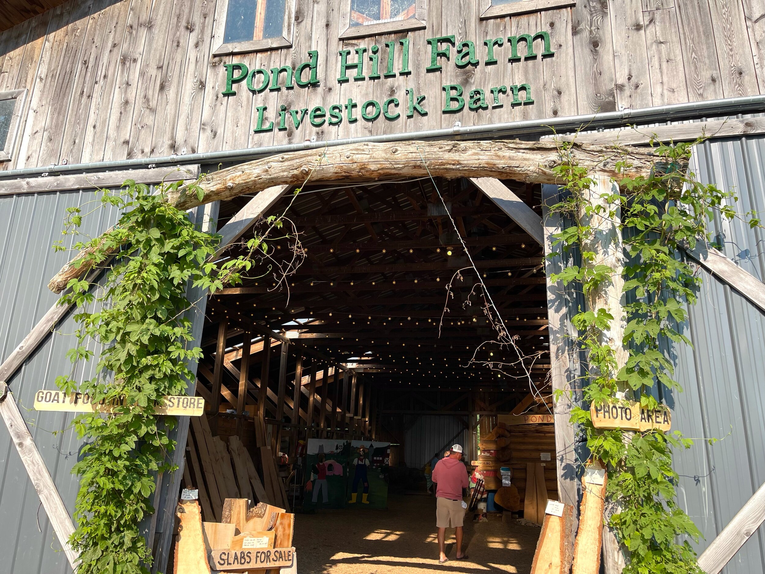   Pond Hill Farm  was an unexpected discovery as we traveled the  Trail of Trees  in  Harbor Springs.  Pond Hill Farm is a winery, brewery, music venue, petting zoo, fresh fruit &amp; vegetable market, and brick oven pizzeria—and that's just on the d