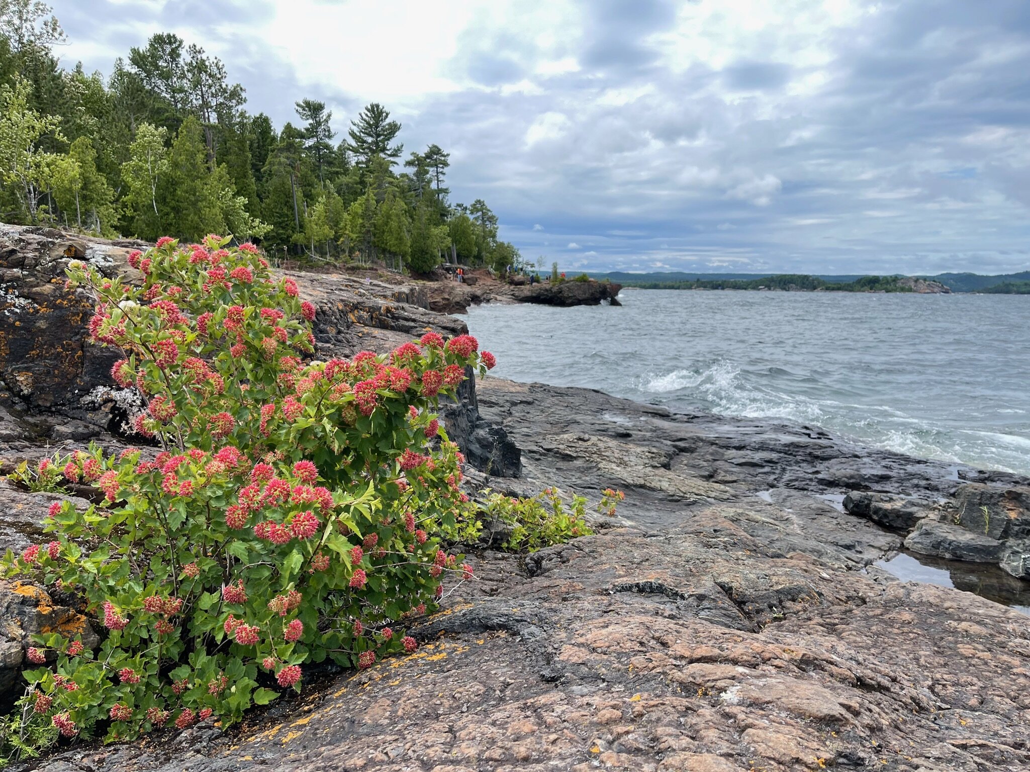  In the upper peninsula,  Presque Isle Park  in the town of  Marquette  was a nice place to hike near the shoreline. It was pretty cold and windy on this day, which we understand is typical even though it’s July.  