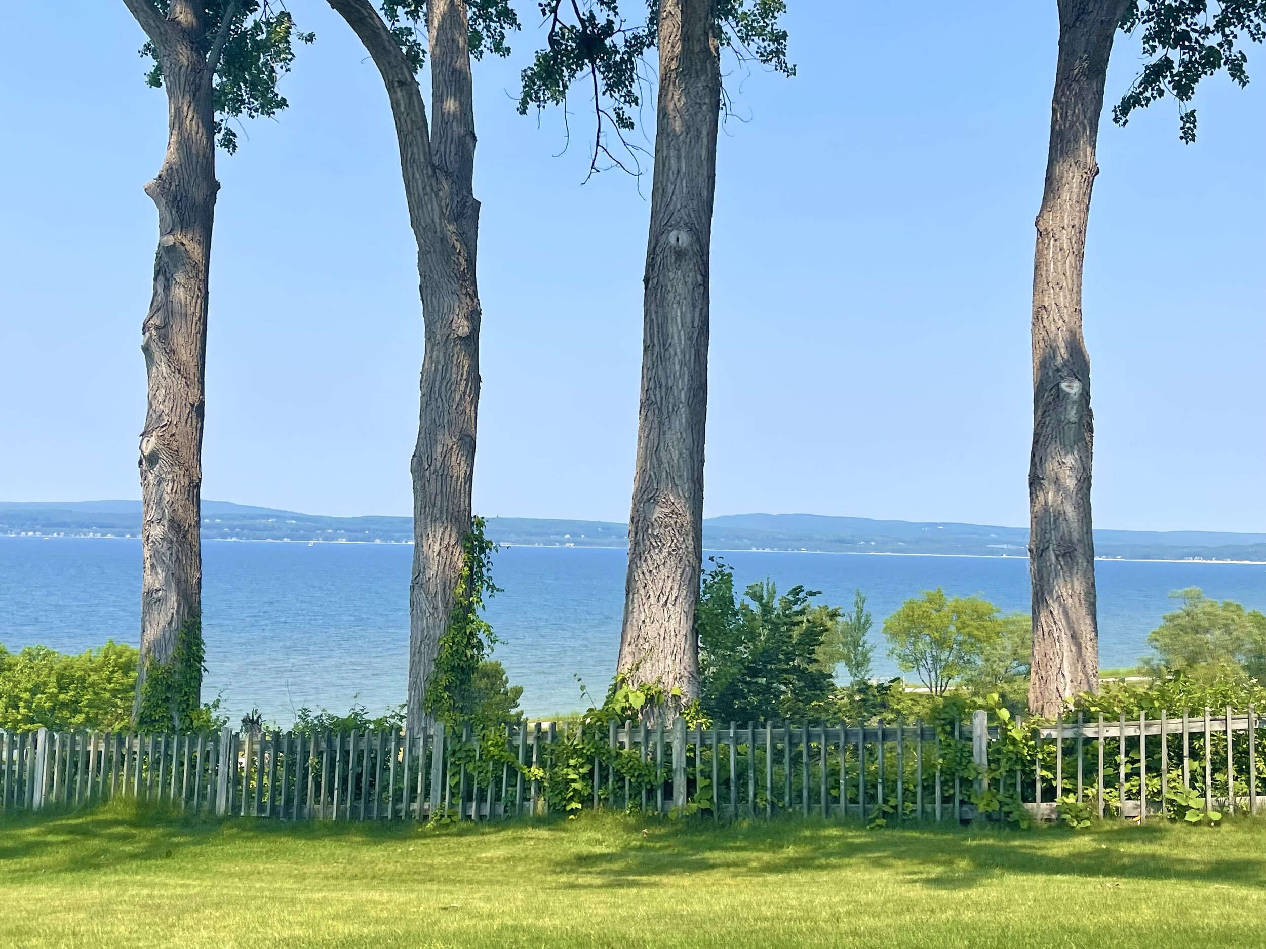  Situated on  Little Traverse Bay, Petoskey  is another charming coastal resort community. In this town, we had lunch at  Petoskey Brewing , and at the state park, we participated in a favorite local activity—searching for Michigan’s state stone—the 