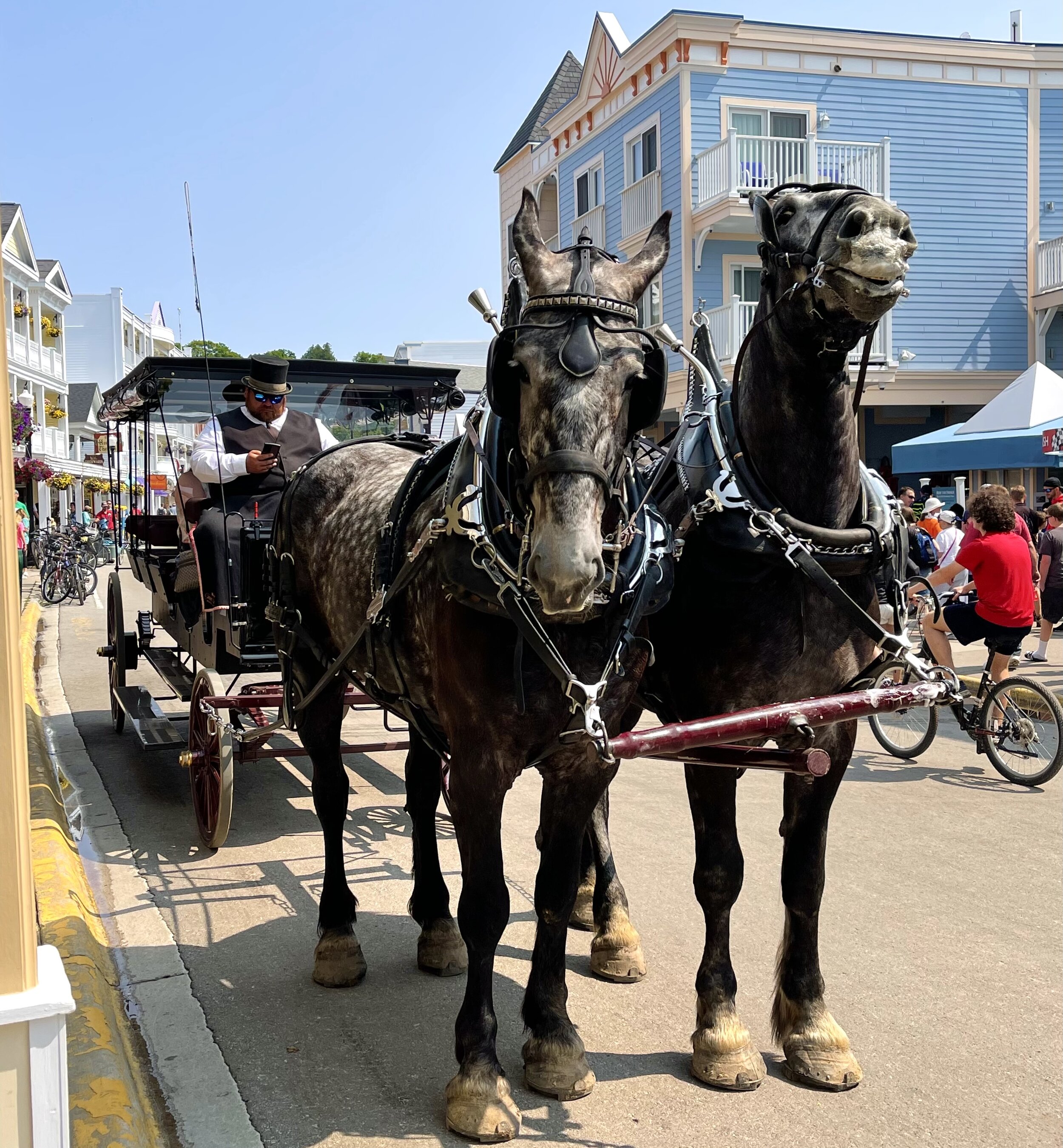  It could be said that time stands still on Mackinac Island until you notice that the horse-pulled carriage driver is scrolling through his iPhone. 🤨 