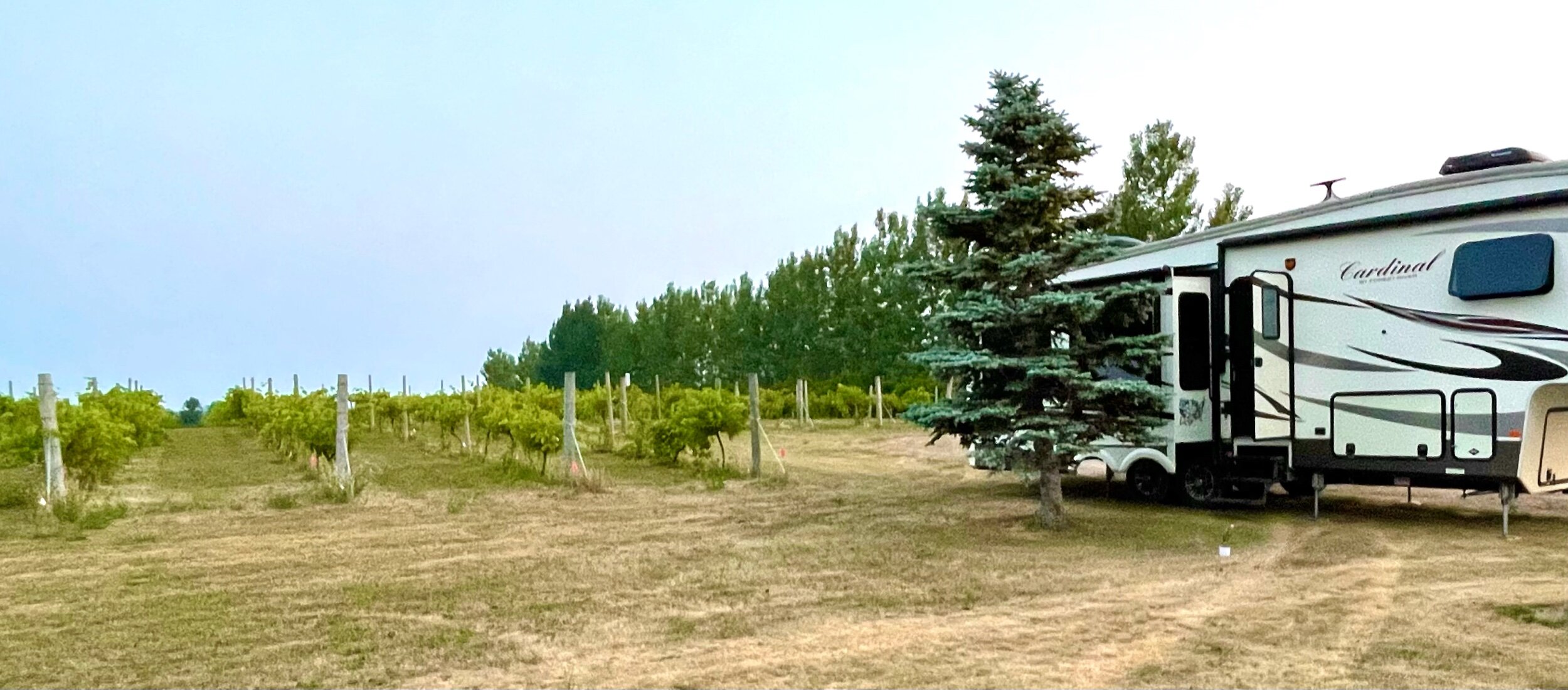  In Buffalo, North Dakota we camped one night at a Harvest Host location,  Red Trails Vineyard . The owner, Rodney, was absolutely the best host. We enjoyed wine tasting at this lovely vineyard and then the three of us went to dinner at the only rest