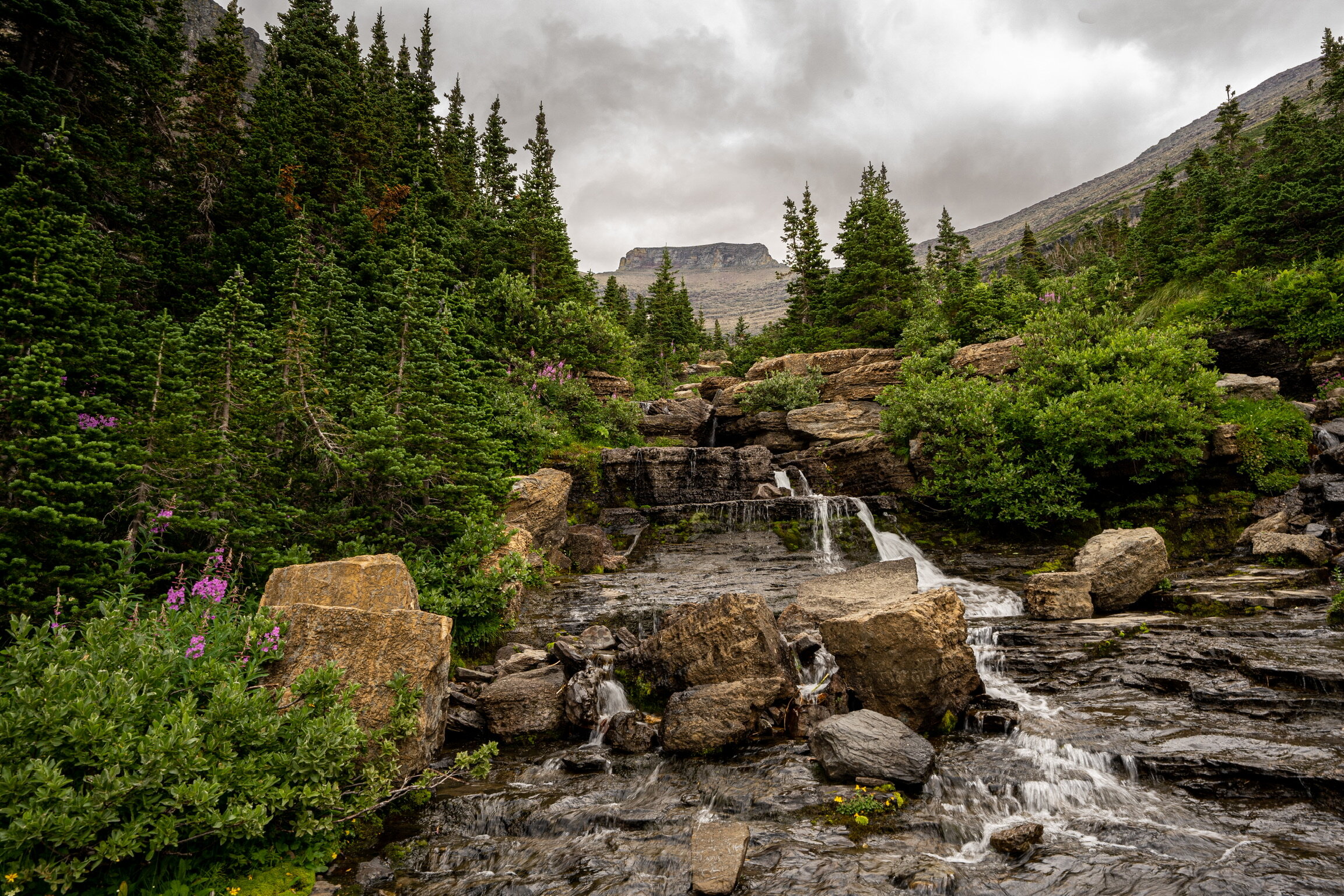  This photo was taken along the  Going-To-The-Sun Road , the 50-mile road that connects the east and west entrances of Glacier Park.  