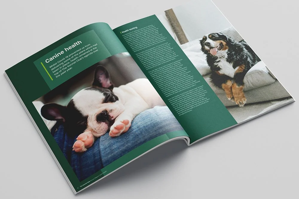 CadyWebsite_2022_KCAnnualReport_2.jpg