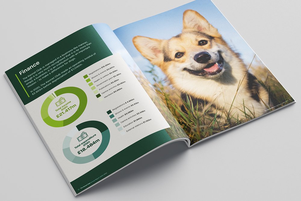 CadyWebsite_2022_KCAnnualReport_5.jpg