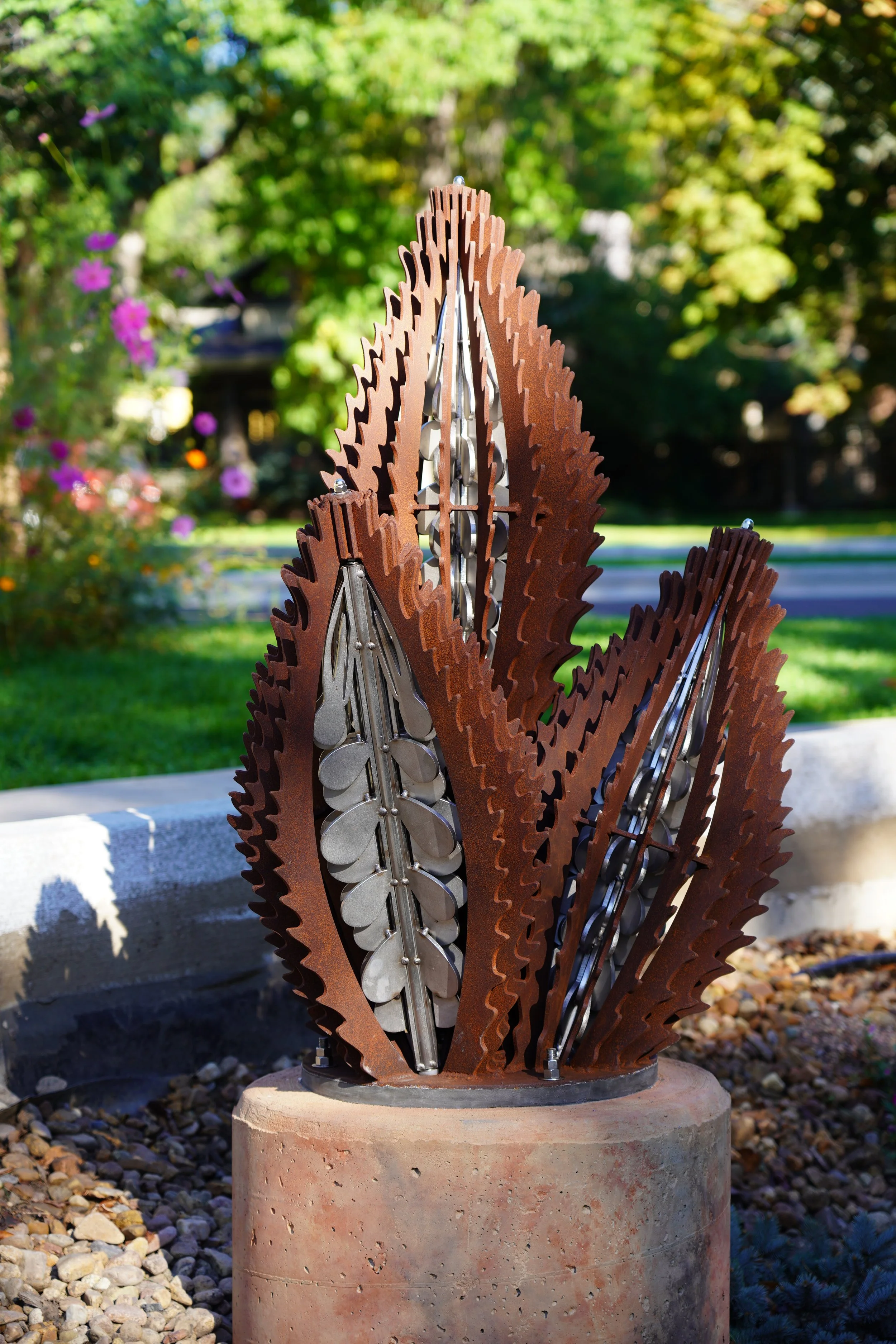 SEED PODS.JPG
