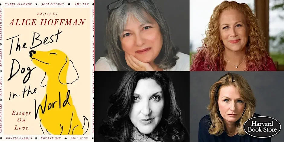 THE HARVARD COOP: THE BEST DOG IN THE WORLD with ALICE HOFFMAN, JODI PICOULT, ANN LEARY, &amp; LAURA ZIGMAN