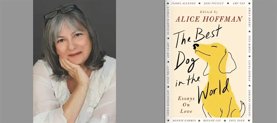 LITTLE CITY BOOKS: THE BEST DOG IN THE WORLD WITH ALICE HOFFMAN, LAURA ZIGMAN, and ALEXANDRA HOROWITZ