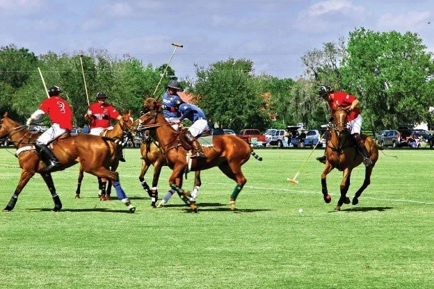 Tailgate at the Sarasota Polo Club 2026