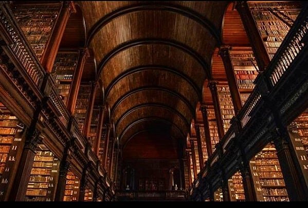 Today's #libraryfriday is the incomparable Long Room at Trinity Library, captured beautifully here by @s.morgaine 📚📚📚
⠀⠀⠀⠀⠀⠀⠀⠀⠀
⠀⠀⠀⠀⠀⠀⠀⠀⠀
⠀⠀⠀⠀⠀⠀⠀⠀⠀
⠀⠀⠀⠀⠀⠀⠀⠀⠀
#dublin #trinitycollege #library #thelongroom #books #tourismireland #irelandbeforeyoudie