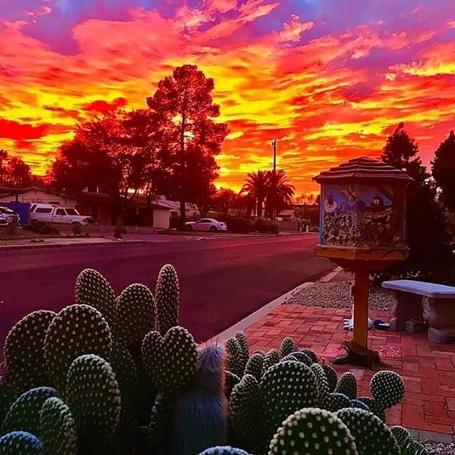 Can't. Stop. Staring at this. 
#Repost from @littlefreelibrary ... #LittleFreeLibrary charter 26250 bathed in an Arizona sunrise. Gorgeous! Find this #littlelibrary and thousands of others on our world map. Click our bio link!

#arizona #az #sunset #