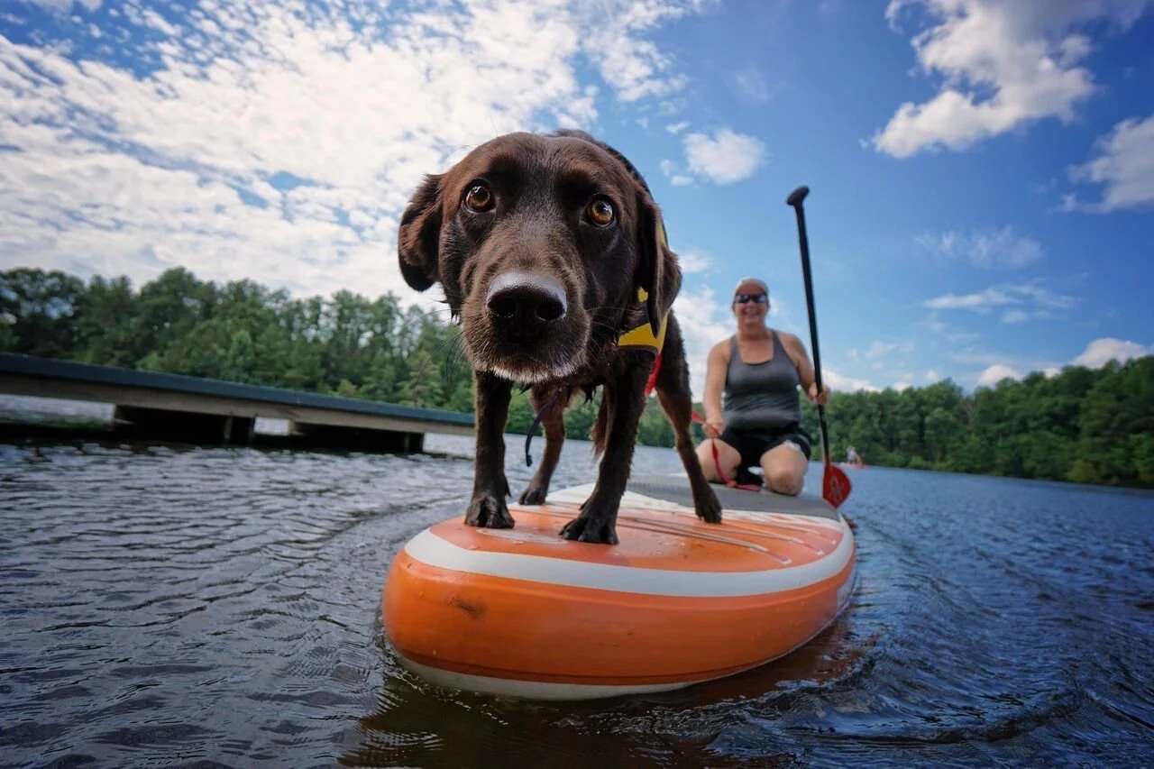 72 Perfect Hours in Fredericksburg, Virginia [Matador Network]