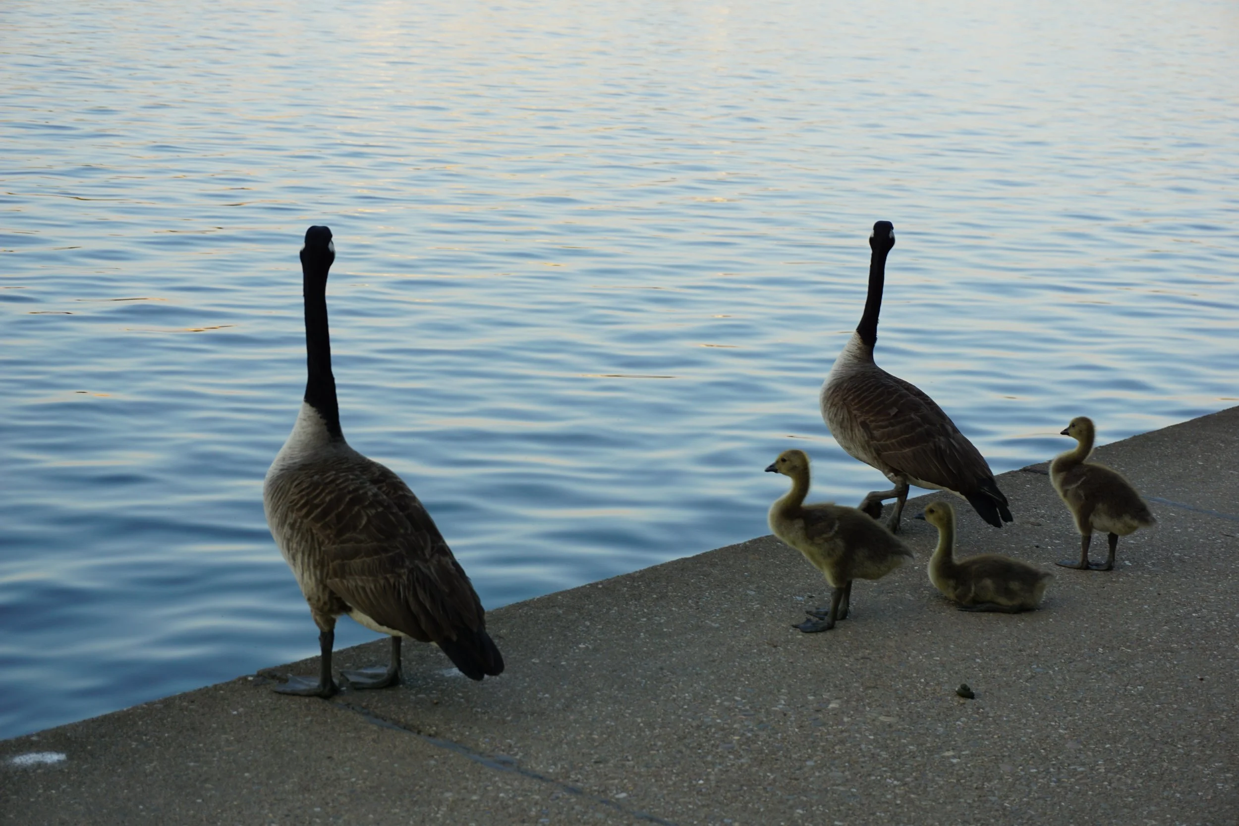 2940F973-556D-4F7D-890B-2D835E43CF38.jpeg