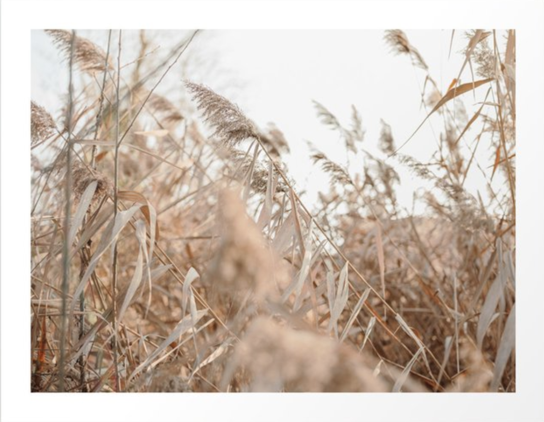 Screen Shot 2020-08-10 at 10.57.06 AM.png