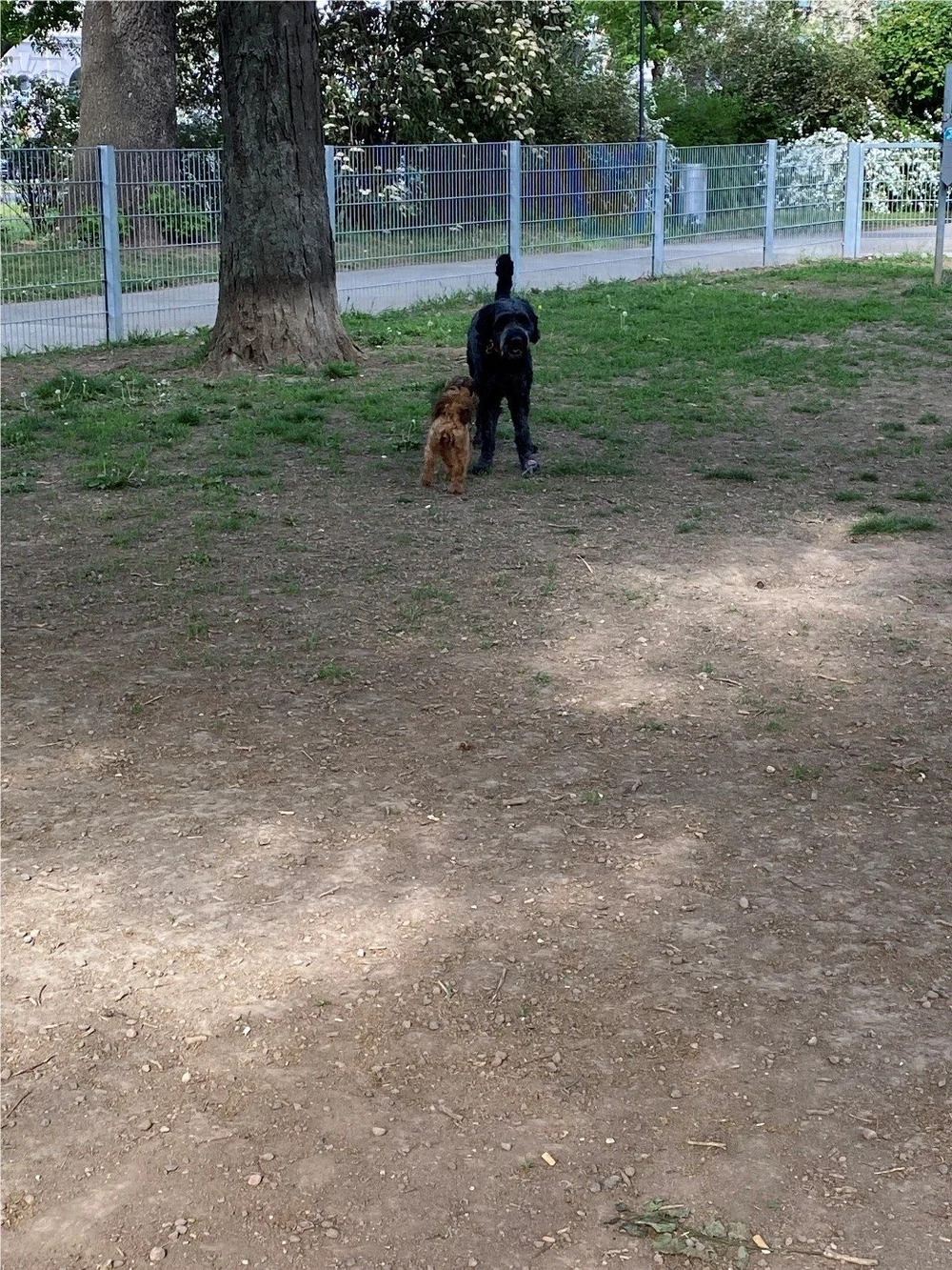 Luca_0507_7.jpg