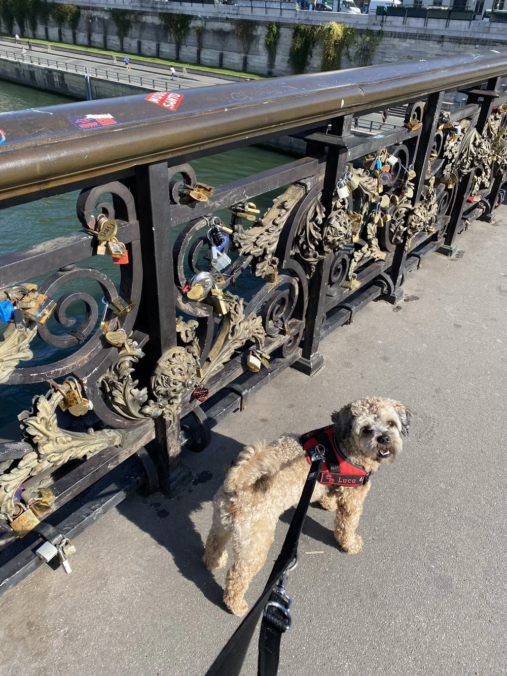 IMG_4439.JPEG