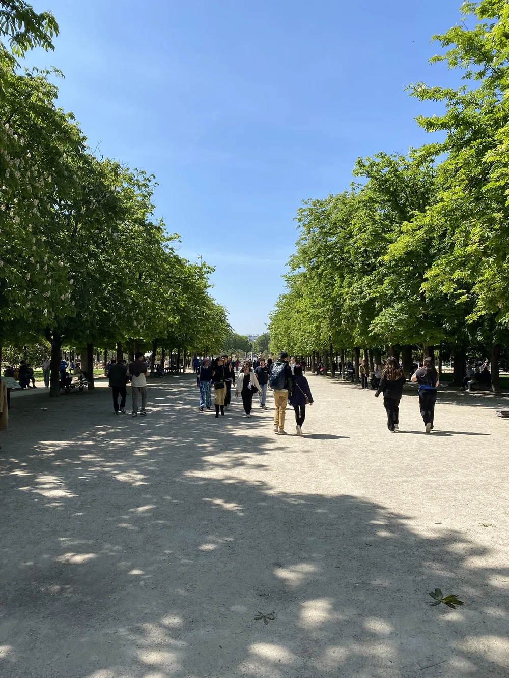IMG_4445.JPEG