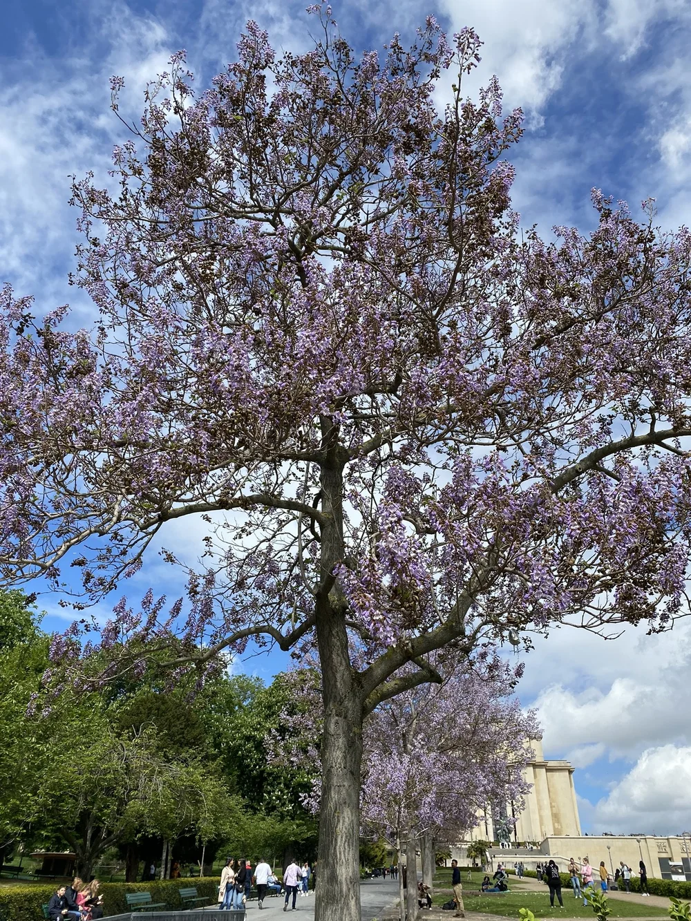 IMG_4659.JPEG