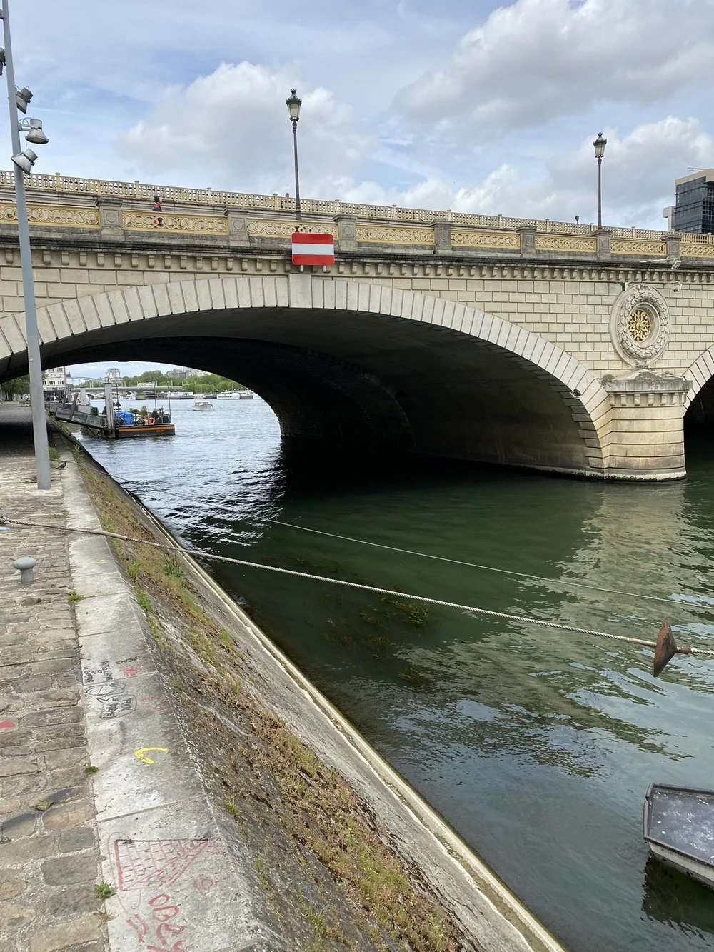 IMG_4695.JPEG