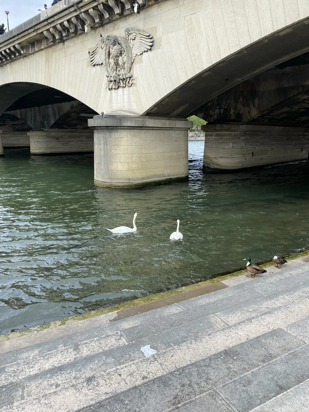IMG_4706.JPEG
