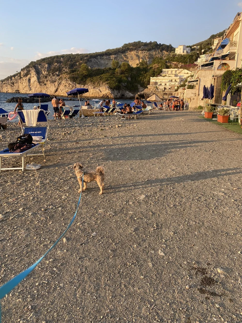 IMG_9605.JPEG