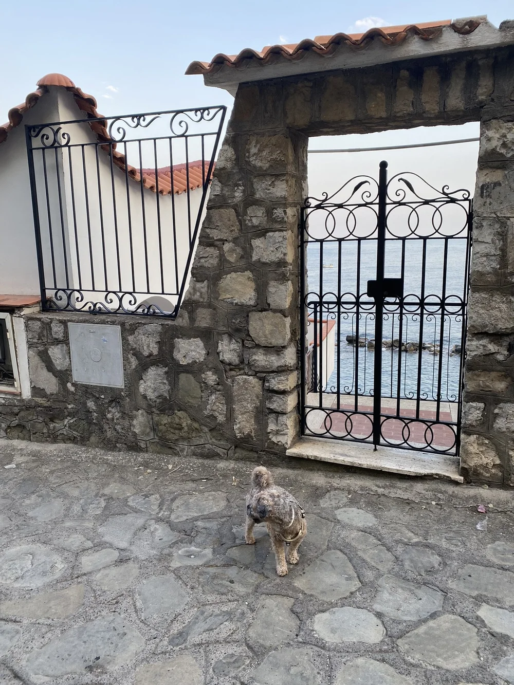 IMG_9631.JPEG