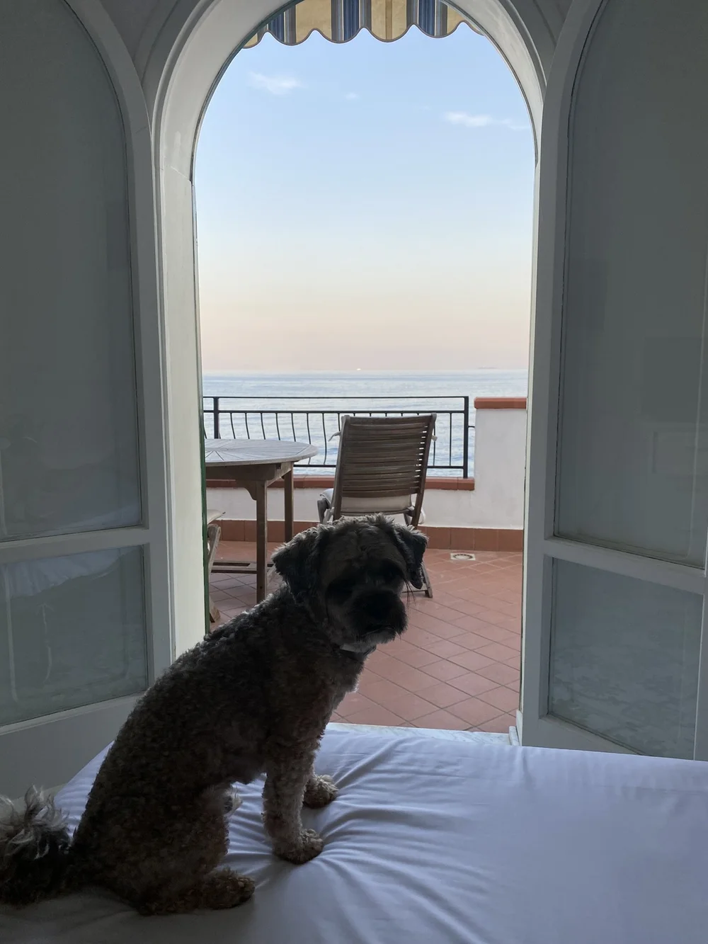 IMG_9688.JPEG